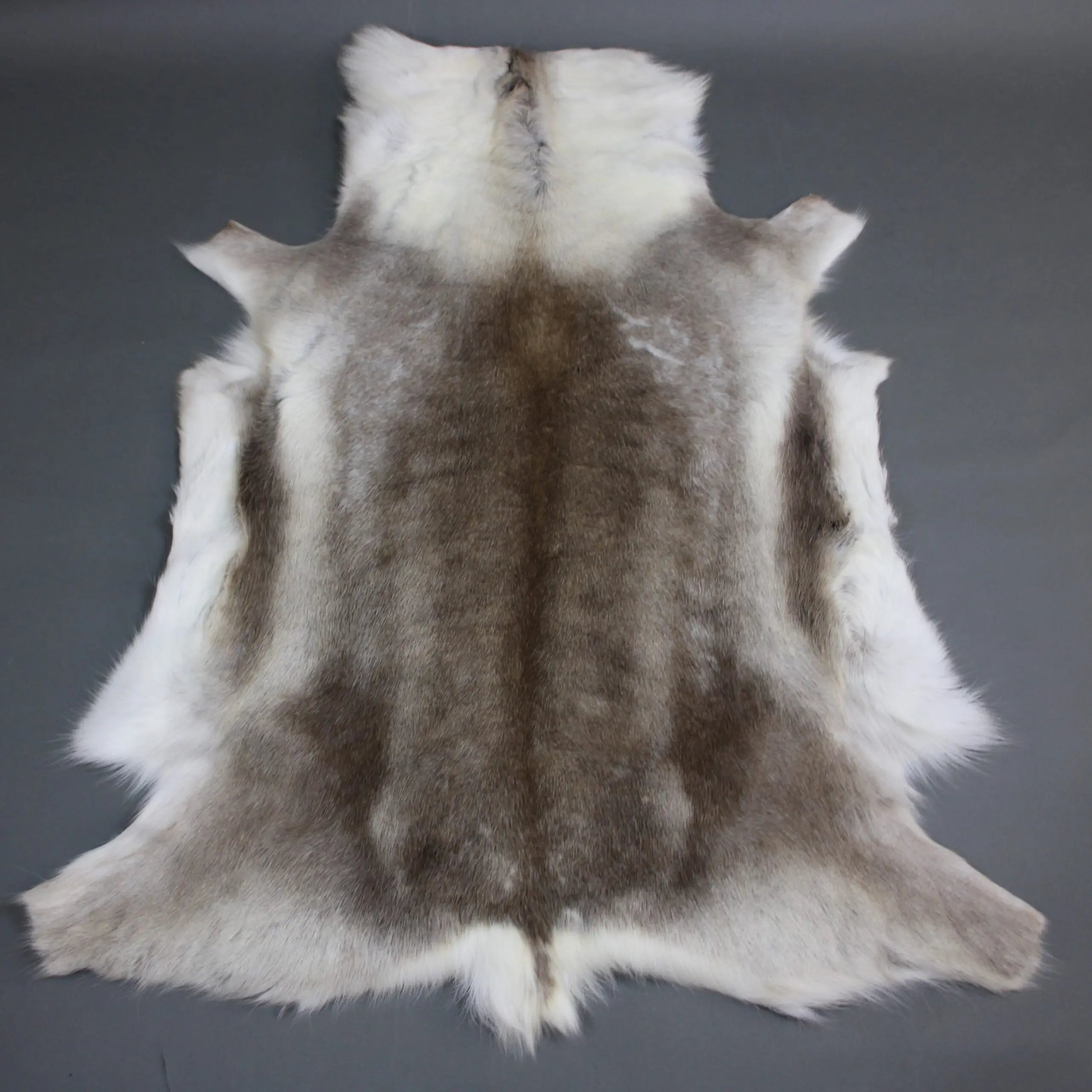 Large Reindeer Hide Rug R1269