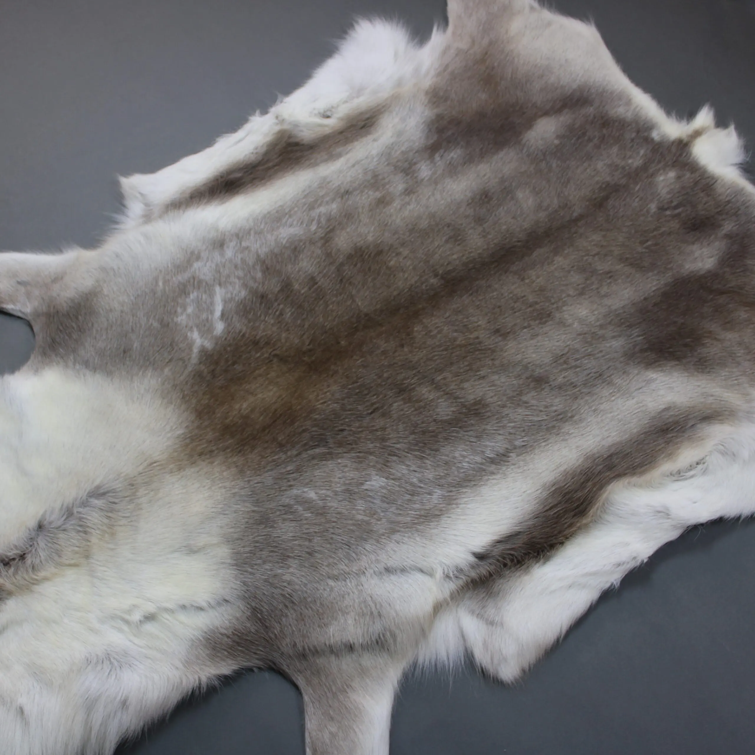 Large Reindeer Hide Rug R1269