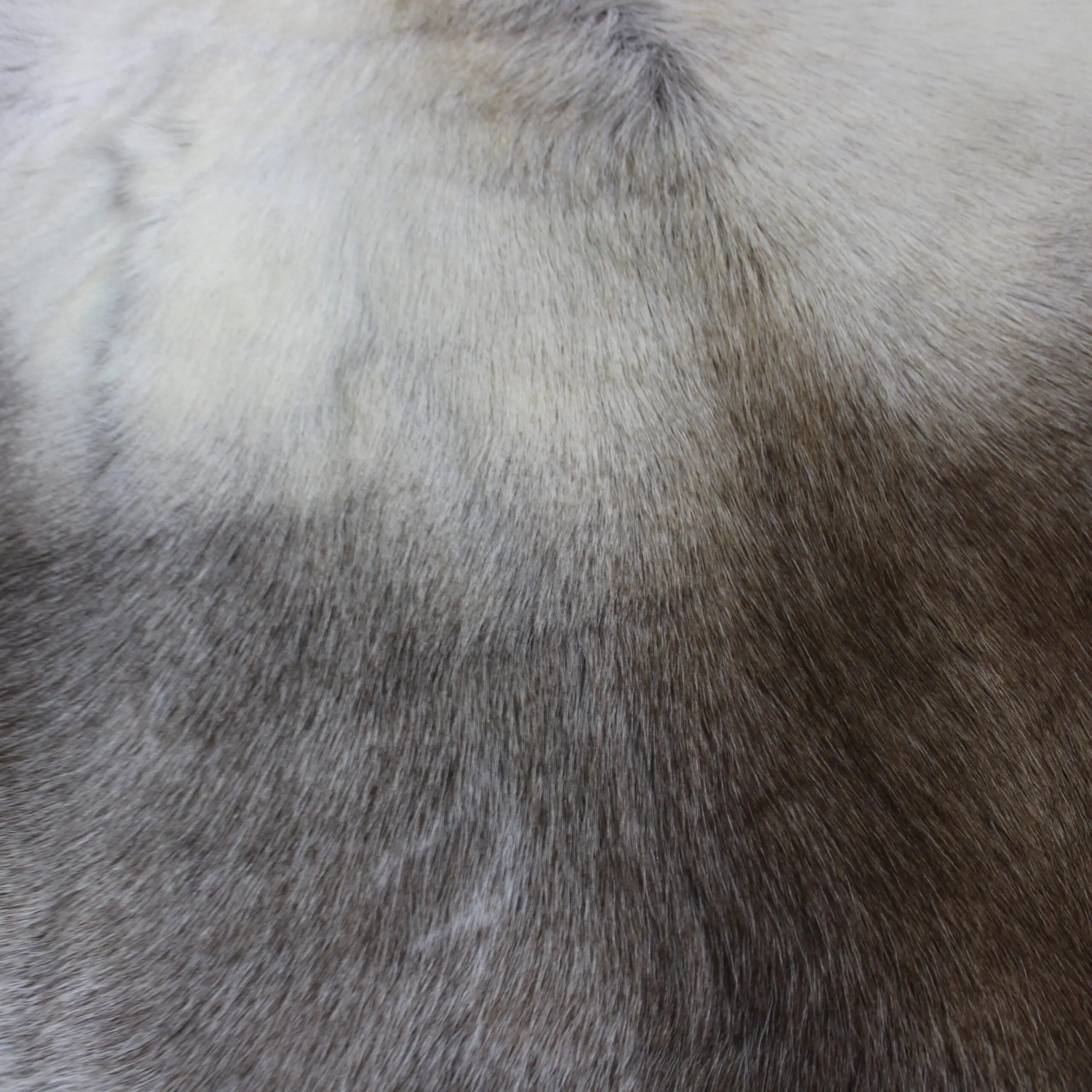 Large Reindeer Hide Rug R1269