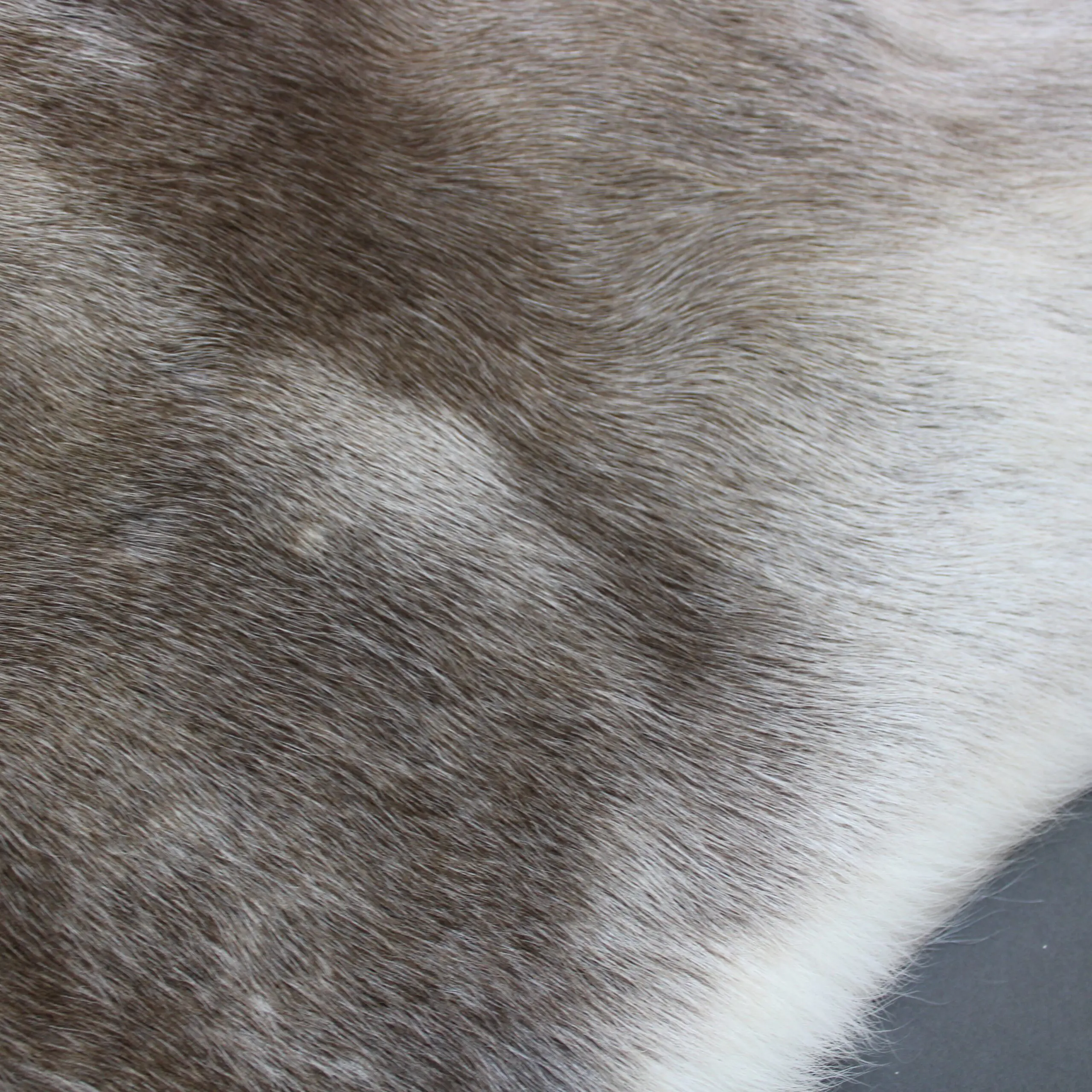 Large Reindeer Hide Rug R1269