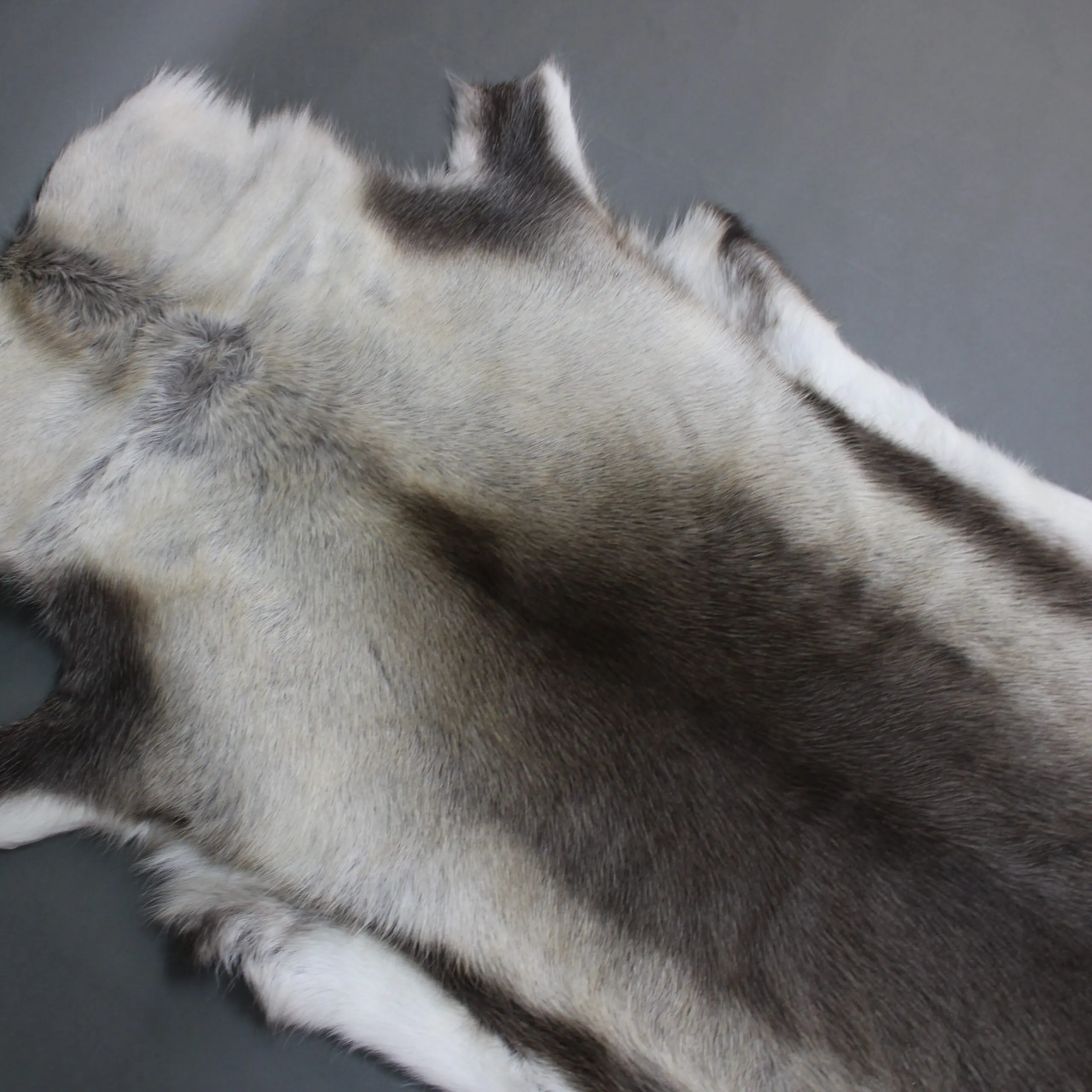 X Large Reindeer Hide Rug R1270