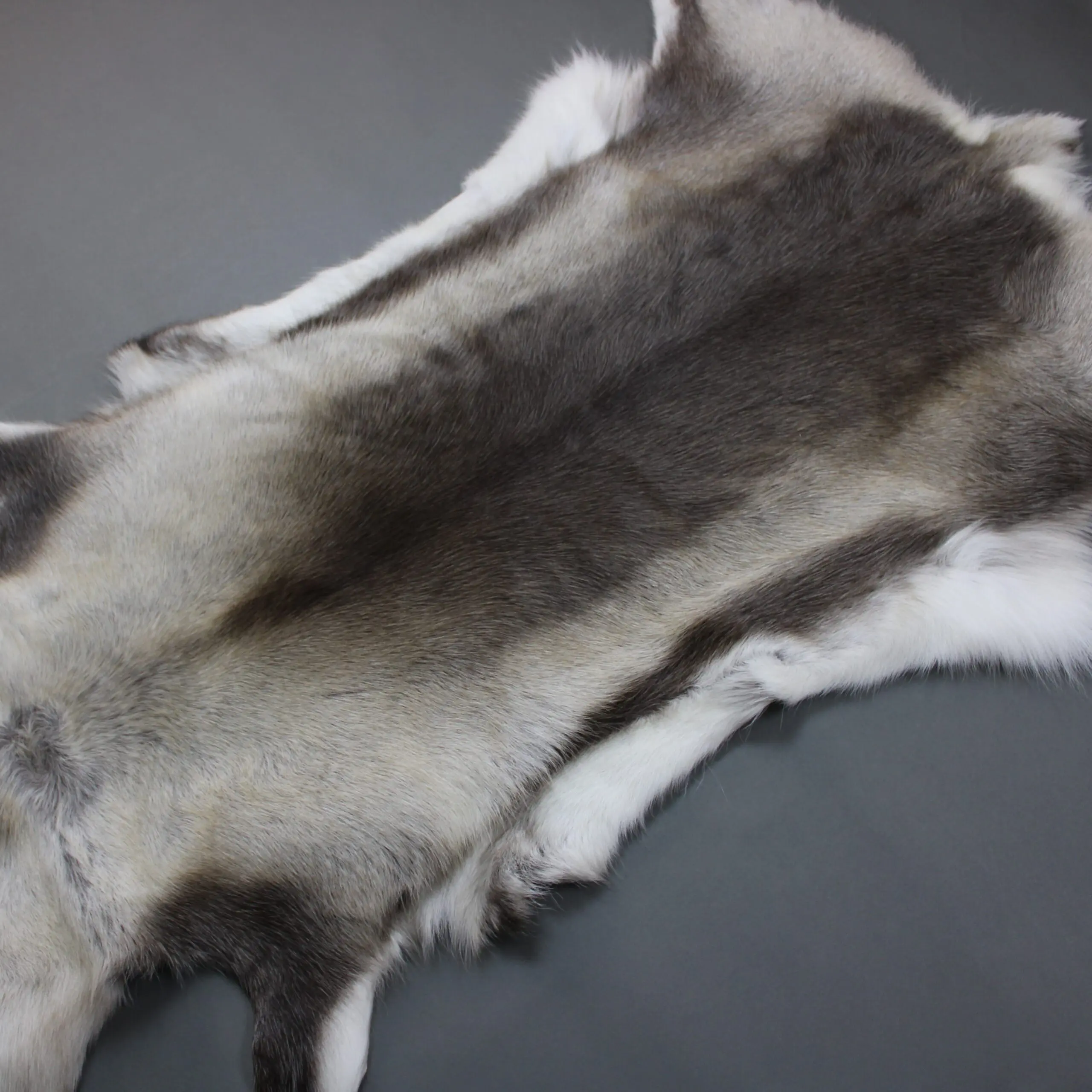 X Large Reindeer Hide Rug R1270