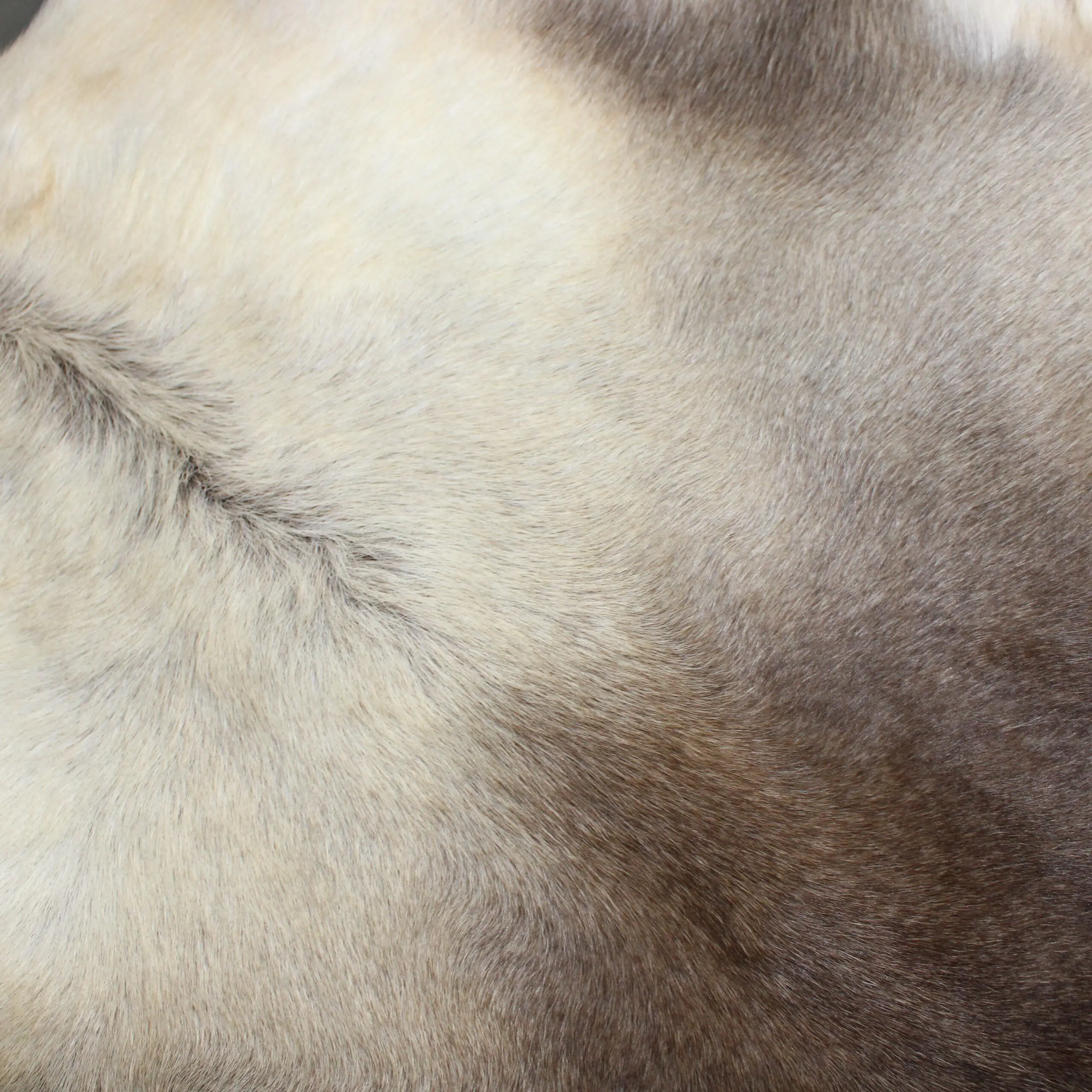 Large Reindeer Hide Rug R1271