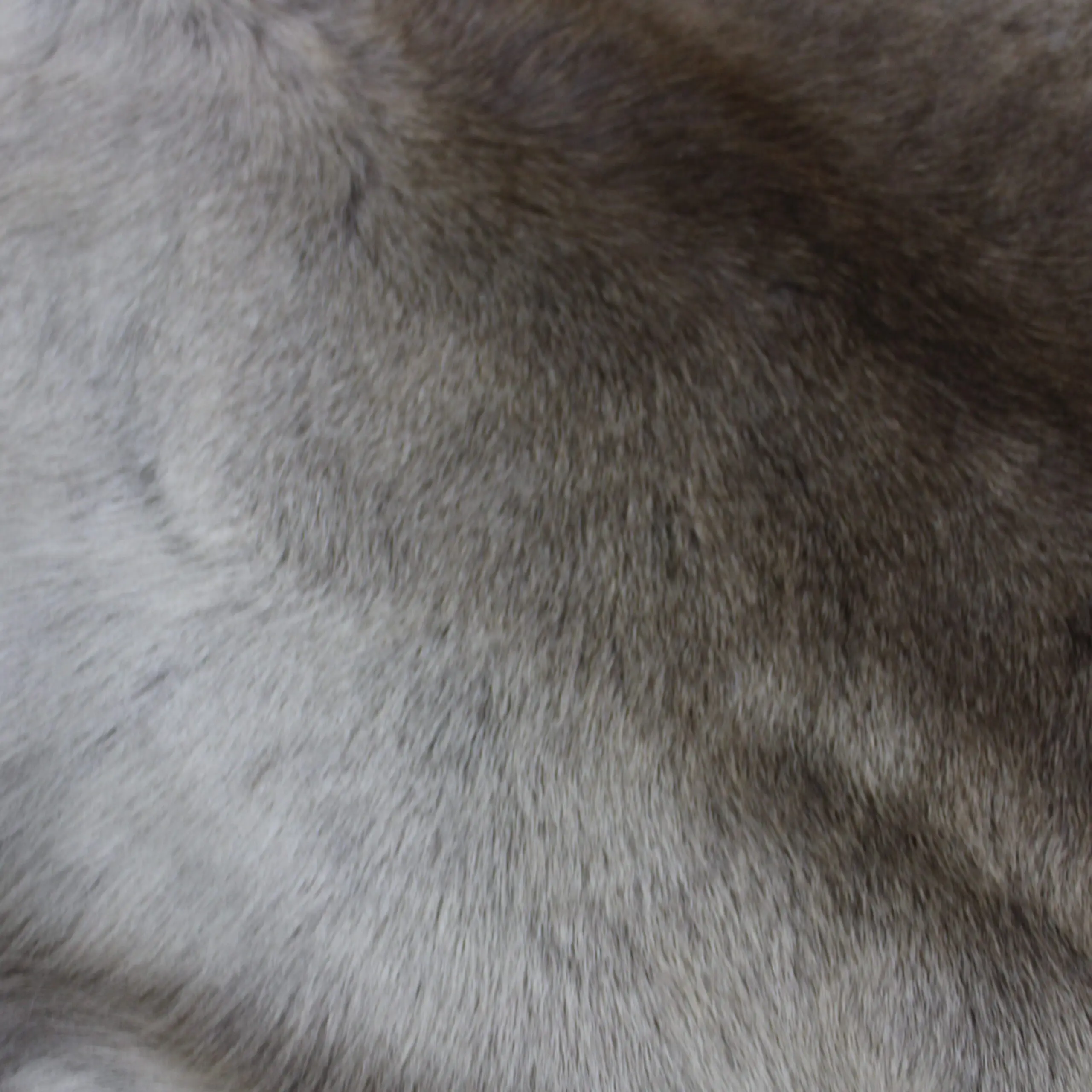 Reindeer Hide Rug R1273