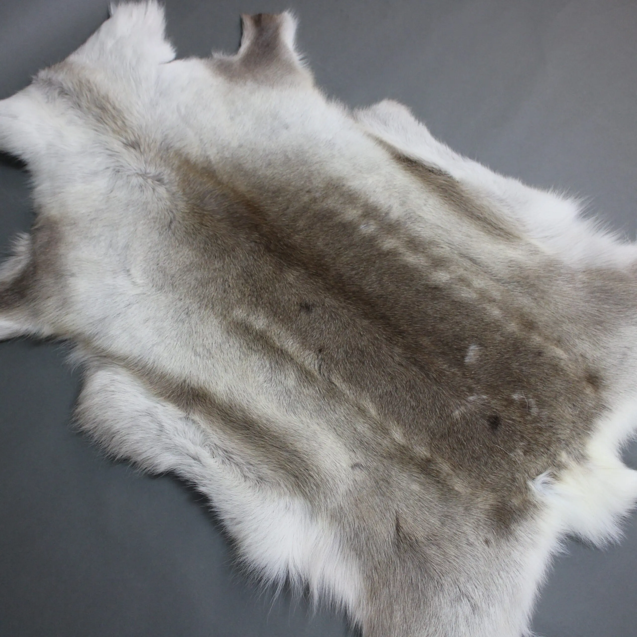 Reindeer Hide Rug R1273