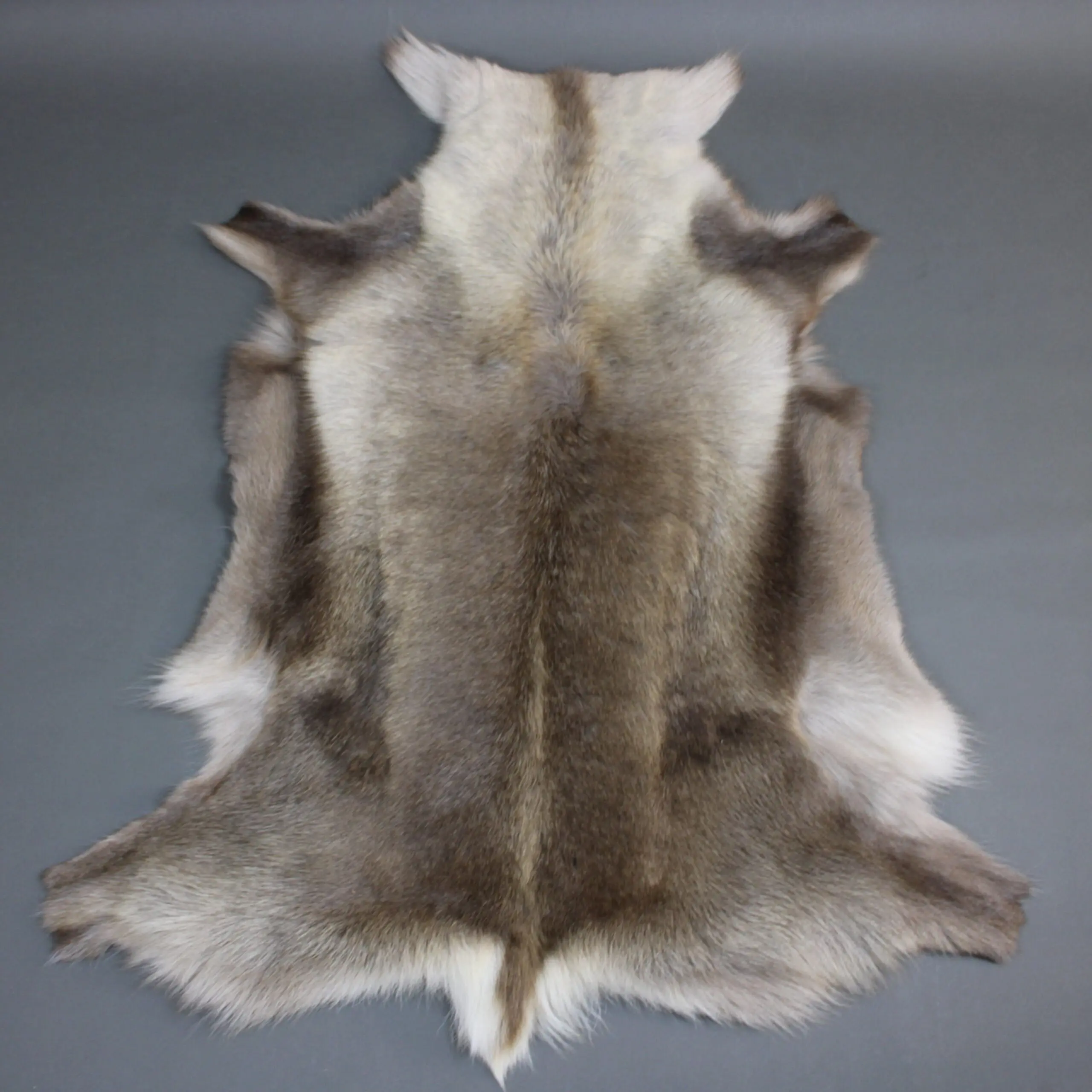 Reindeer Hide Rug R1274