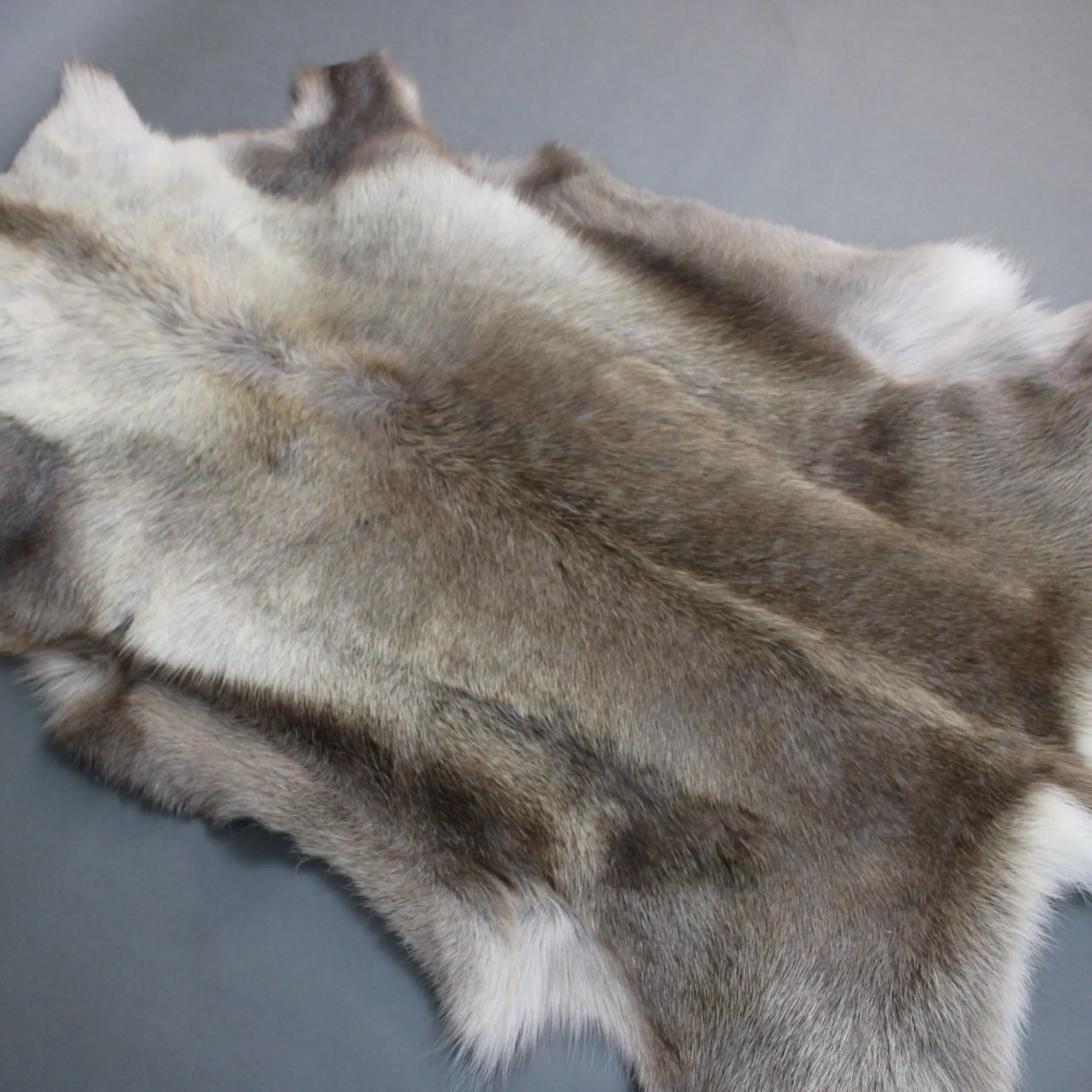 Reindeer Hide Rug R1274