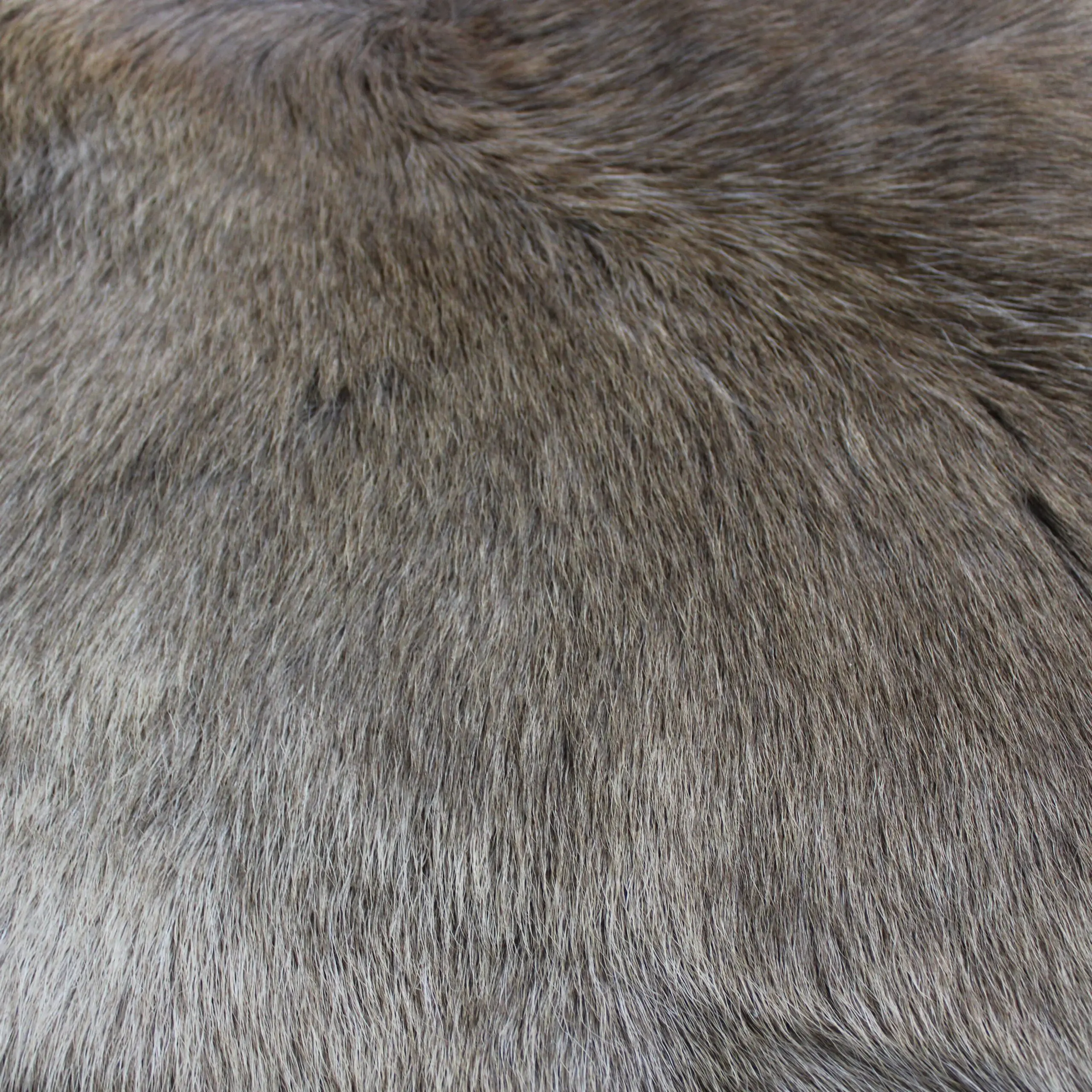 Reindeer Hide Rug R1274