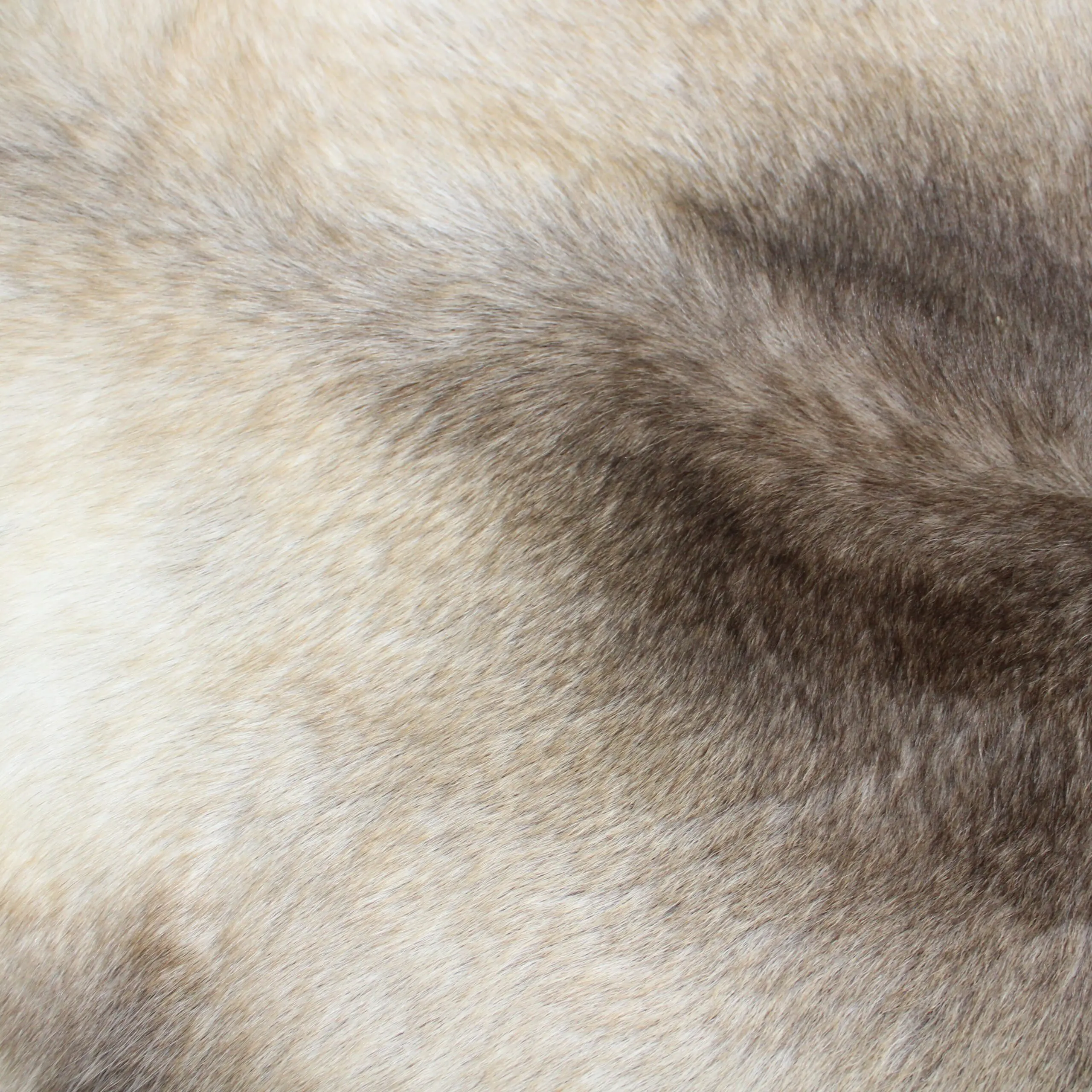 Reindeer Hide Rug R1275