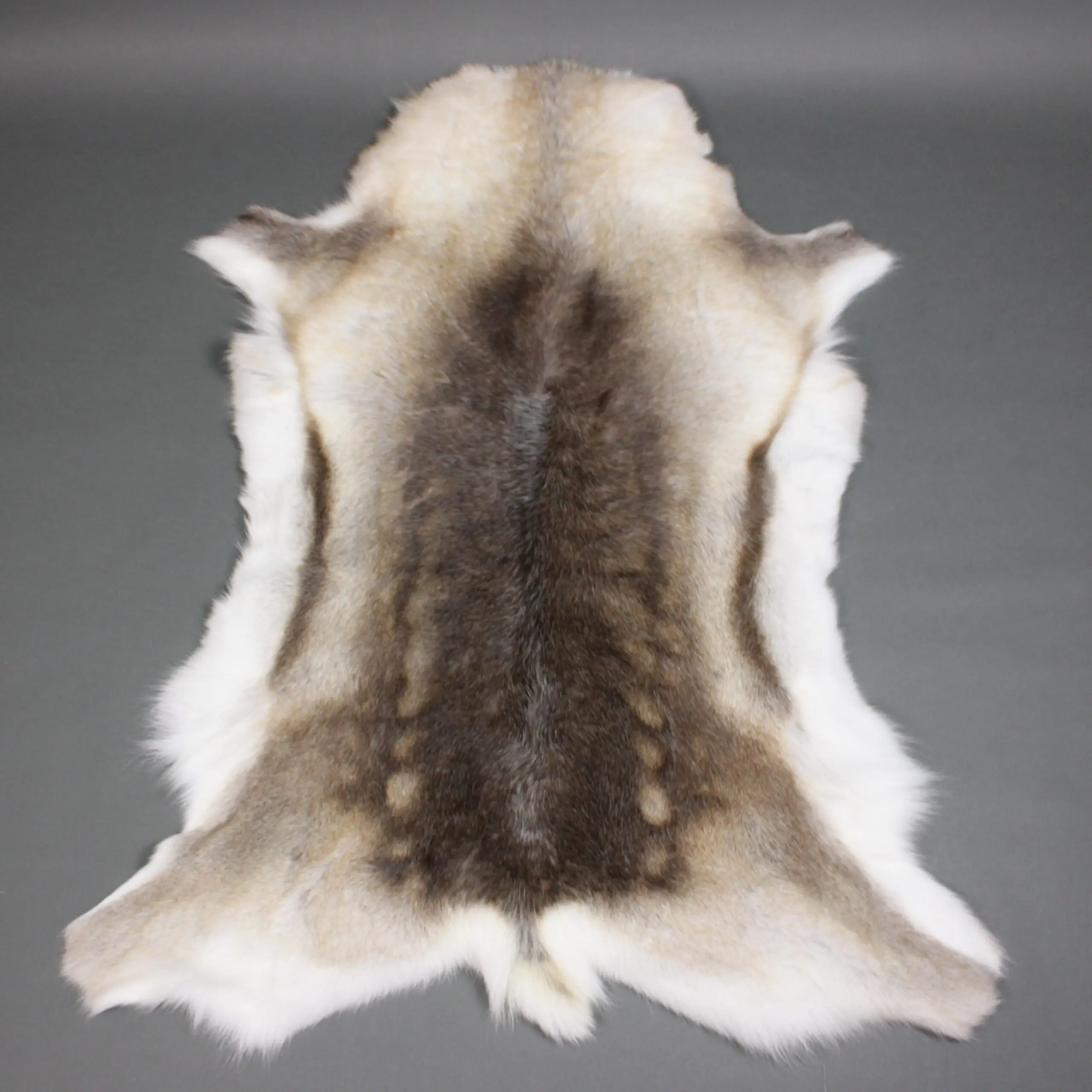 Reindeer Hide Rug R1275