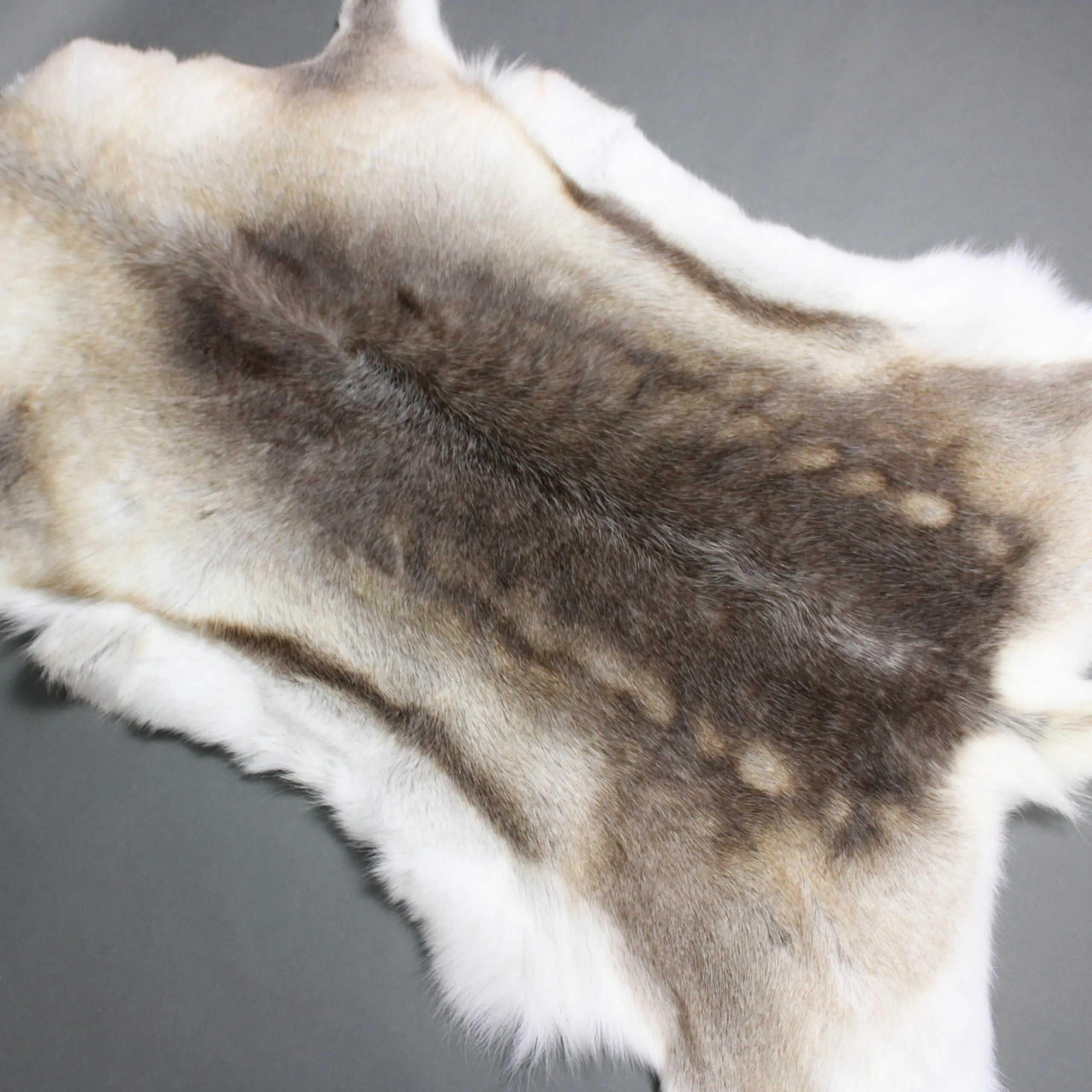 Reindeer Hide Rug R1275