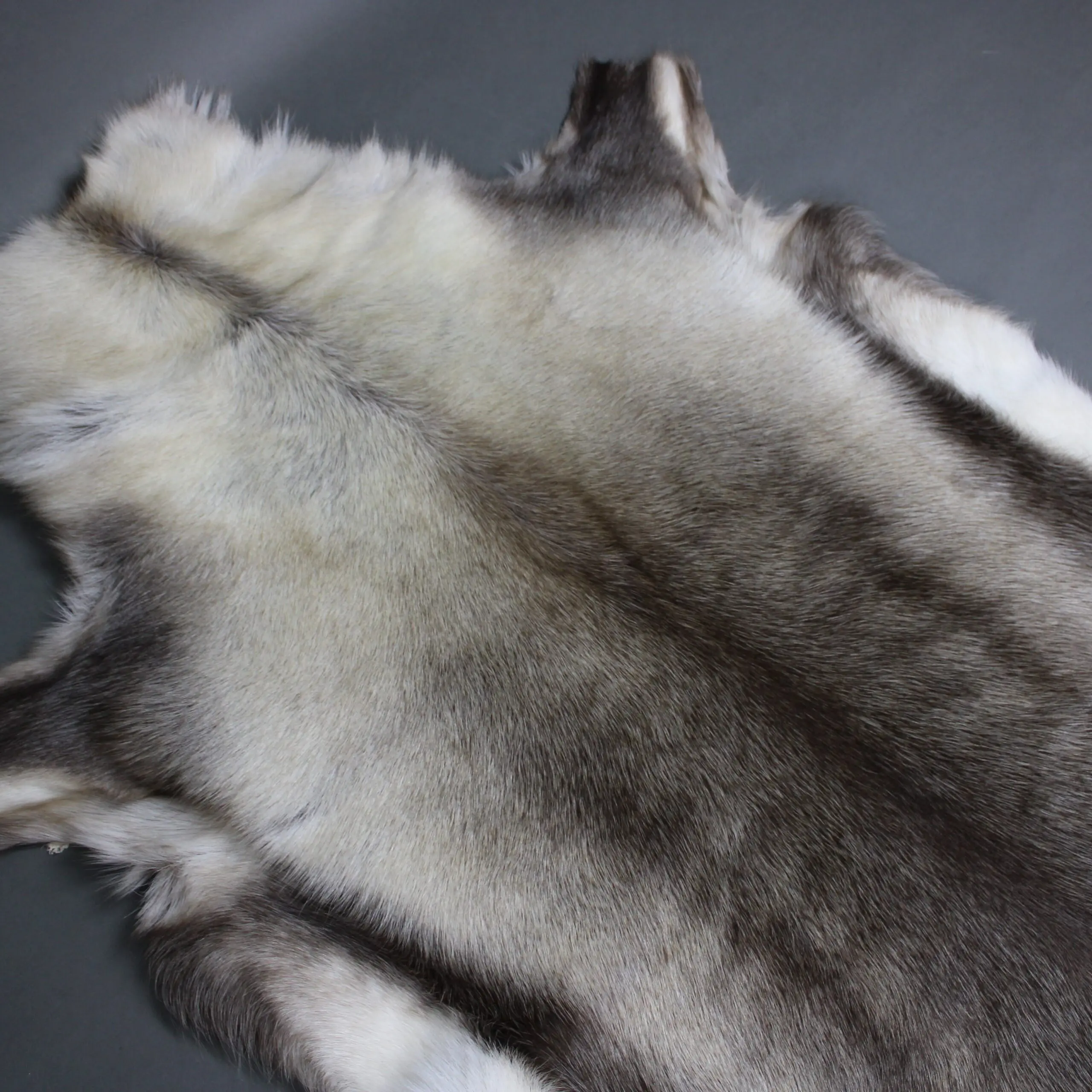 XX Large Reindeer Hide Rug R1276