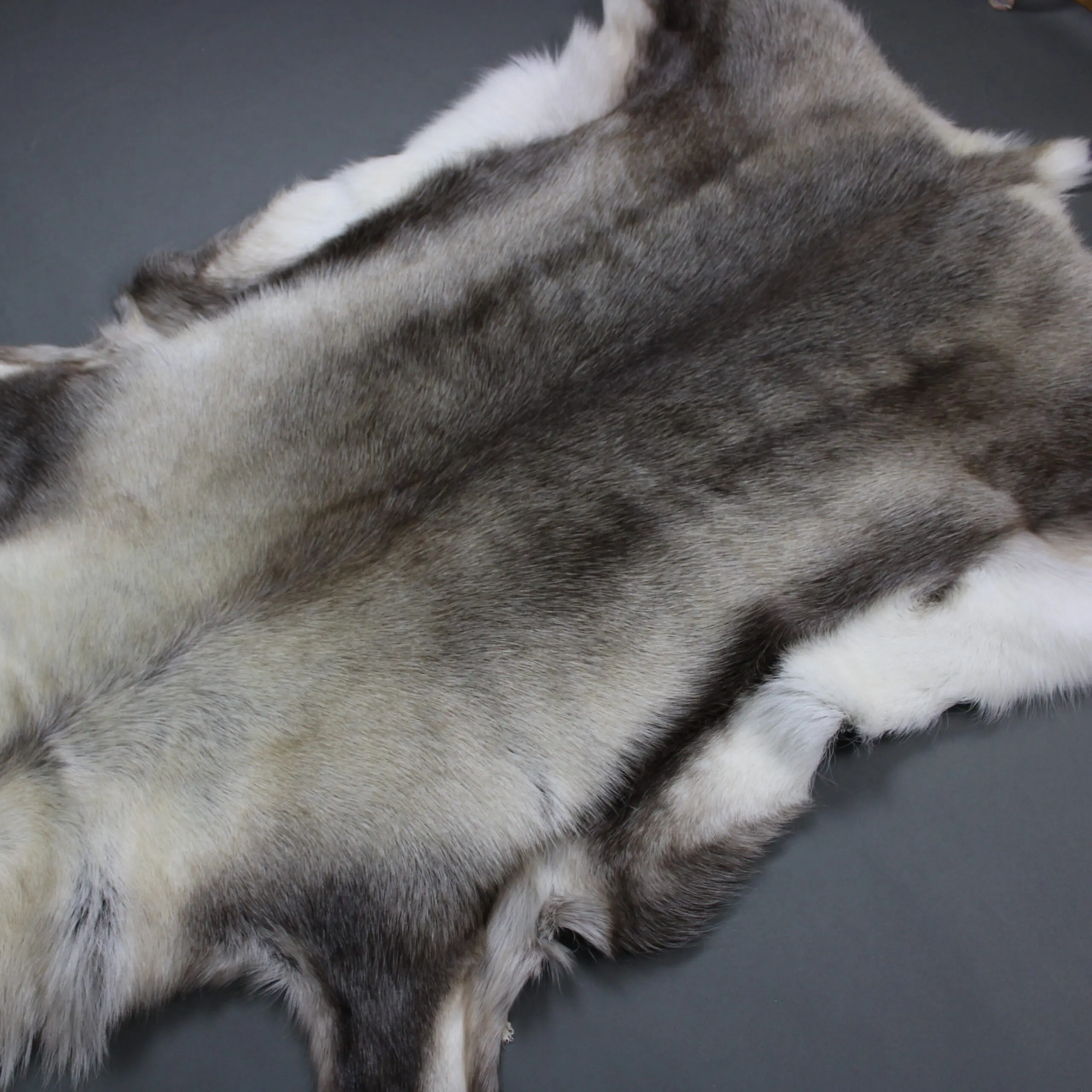 XX Large Reindeer Hide Rug R1276