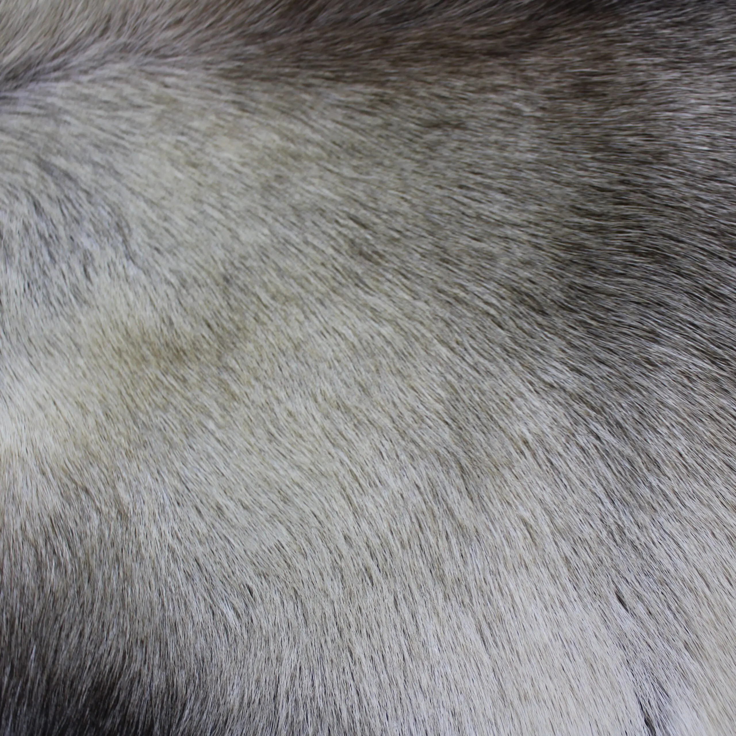 XX Large Reindeer Hide Rug R1276