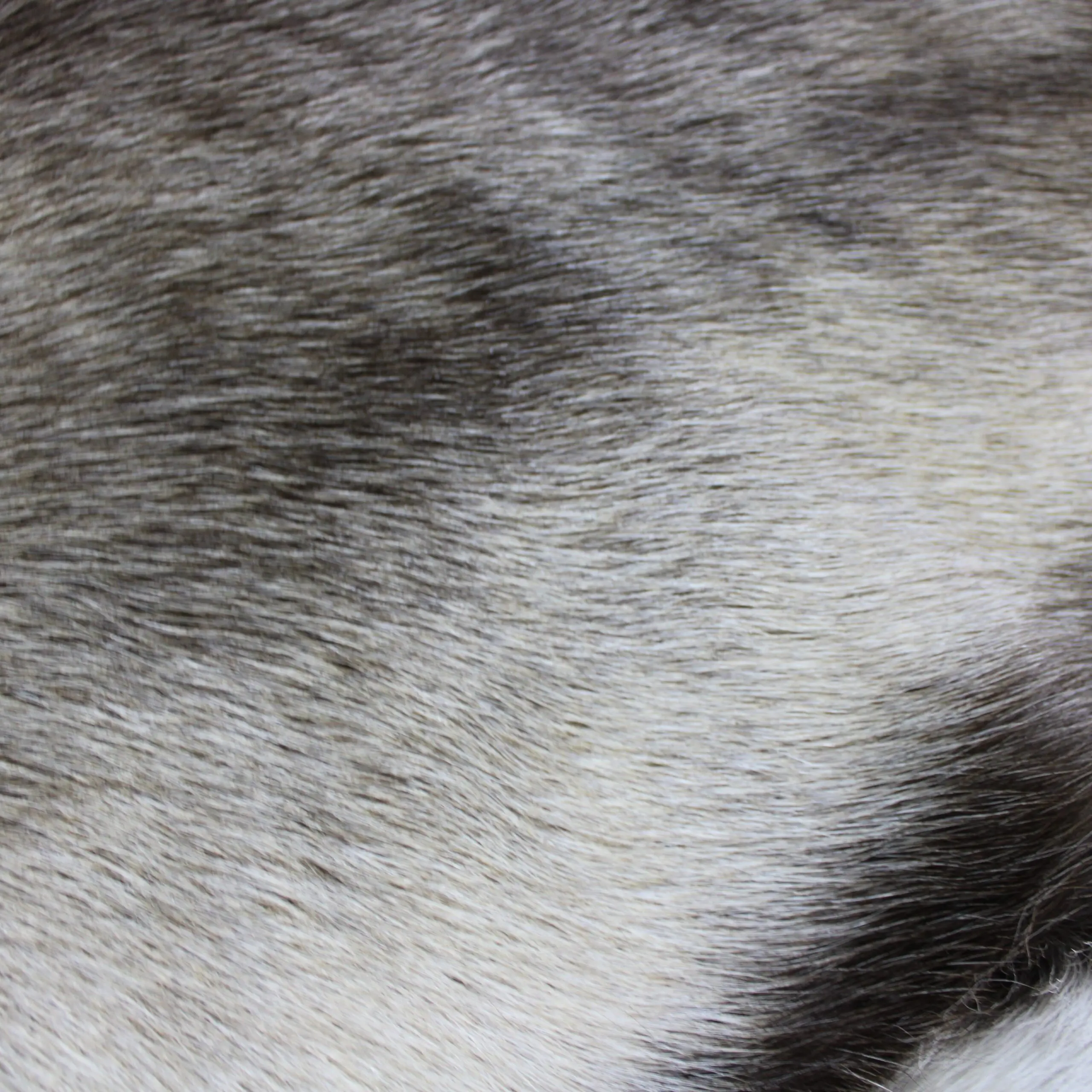 XX Large Reindeer Hide Rug R1276