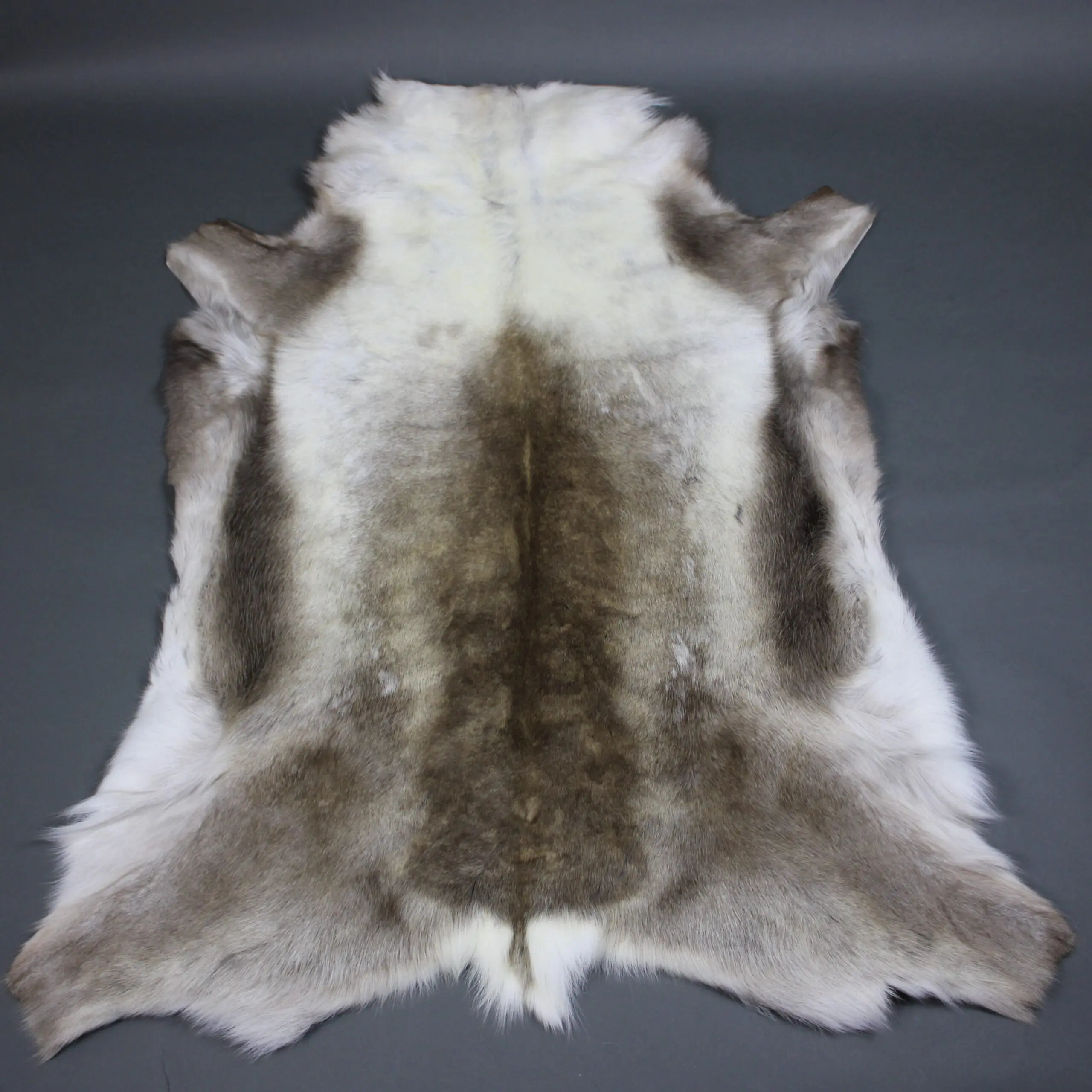 Large Reindeer Hide Rug R1278