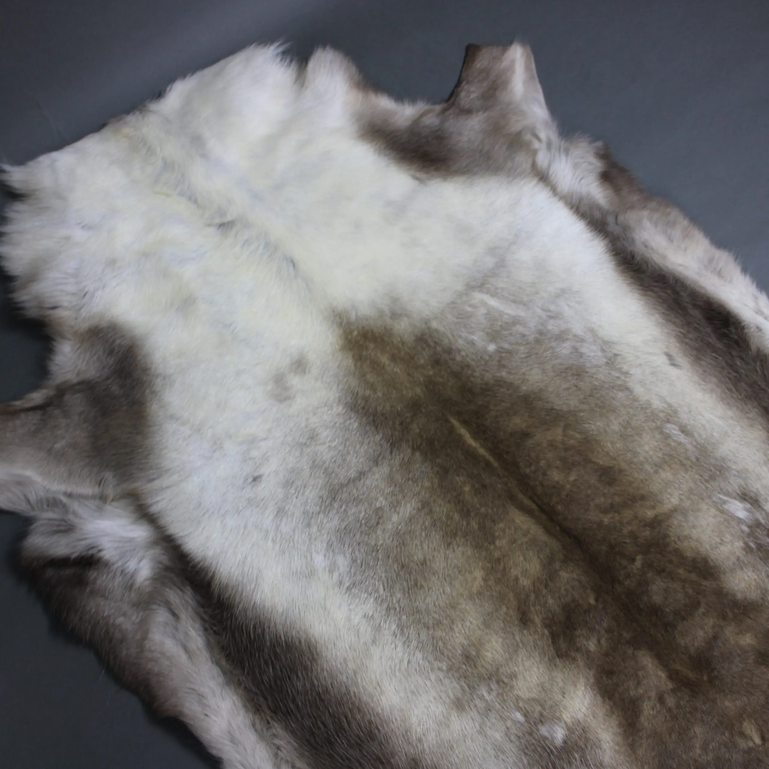Large Reindeer Hide Rug R1278