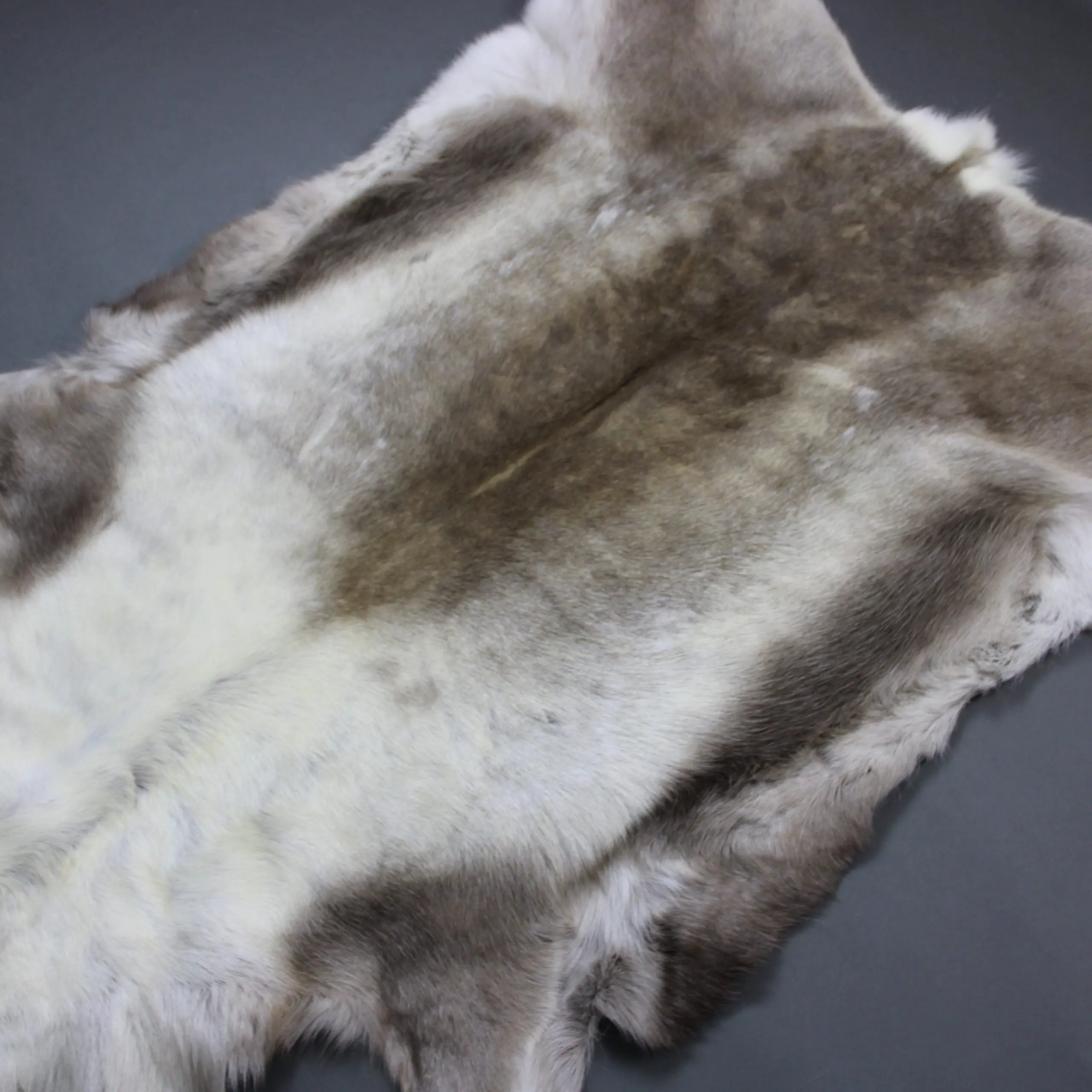 Large Reindeer Hide Rug R1278