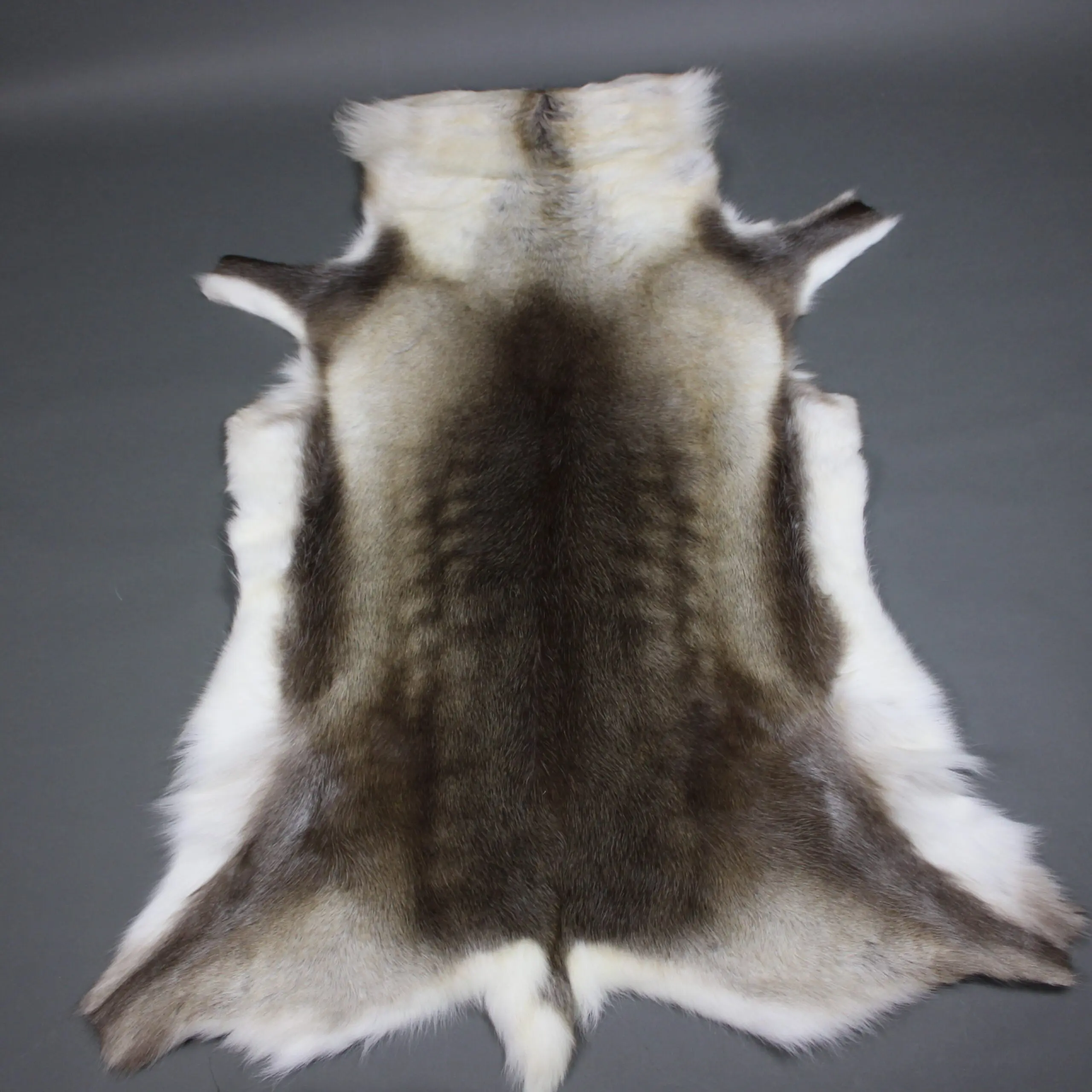 Reindeer Hide Rug R1279