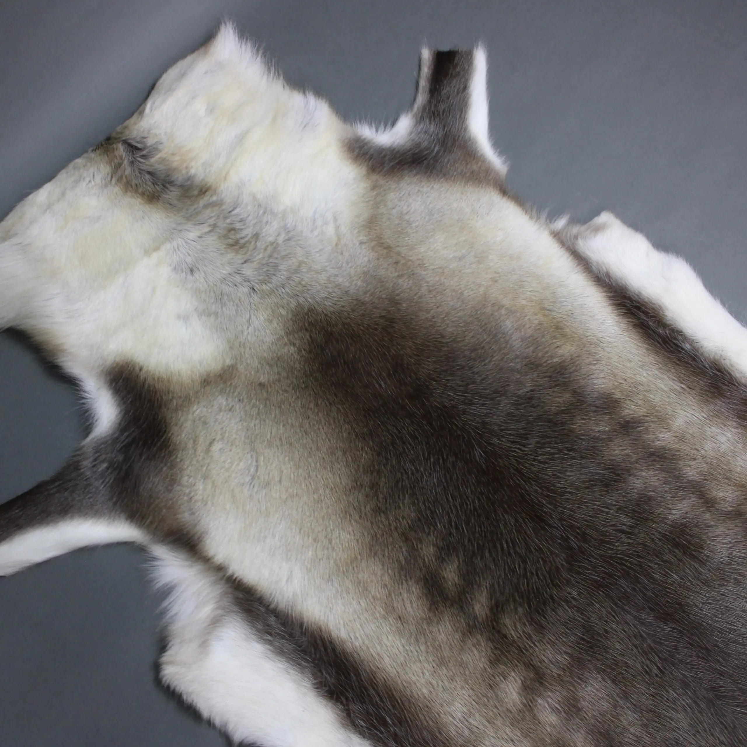 Reindeer Hide Rug R1279