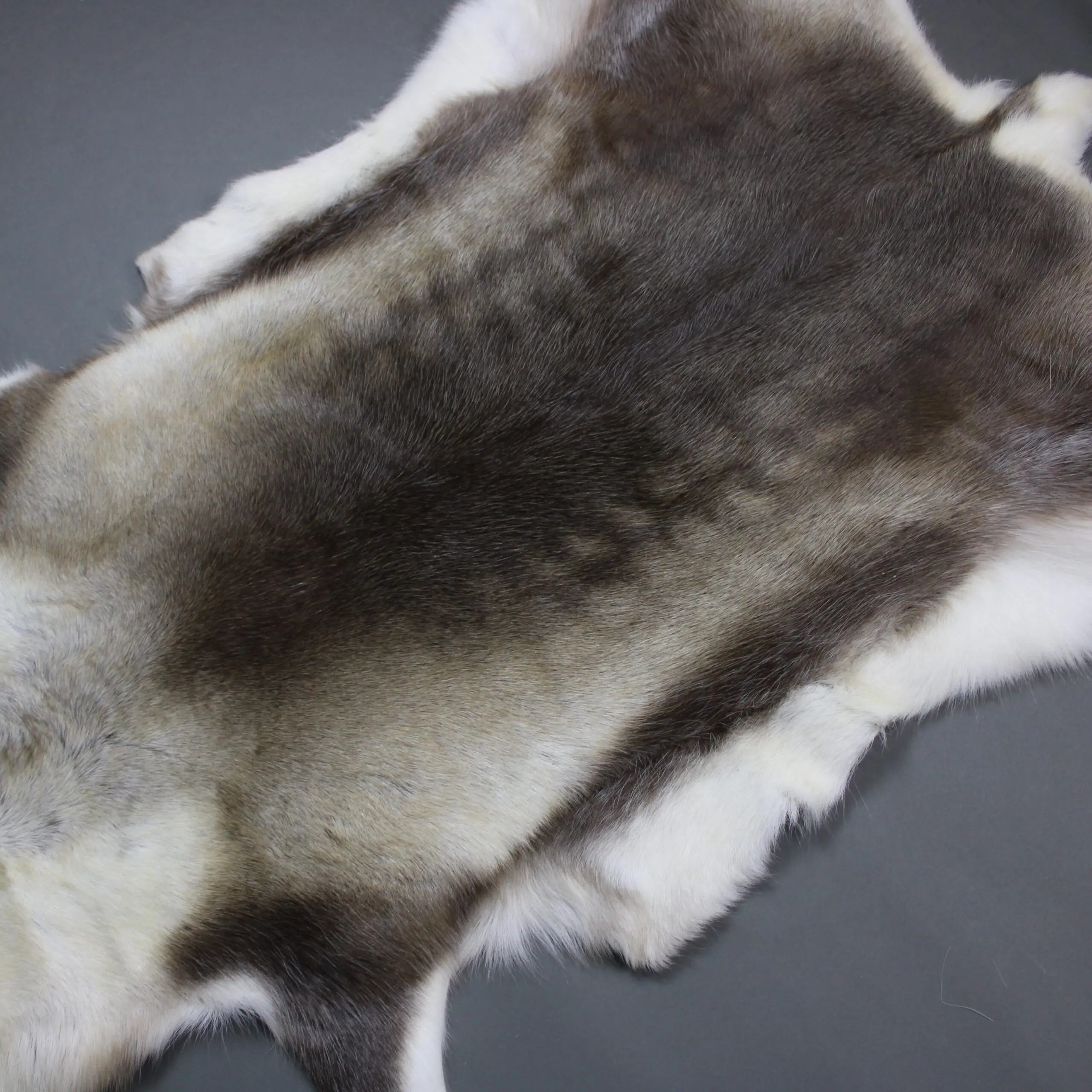Reindeer Hide Rug R1279