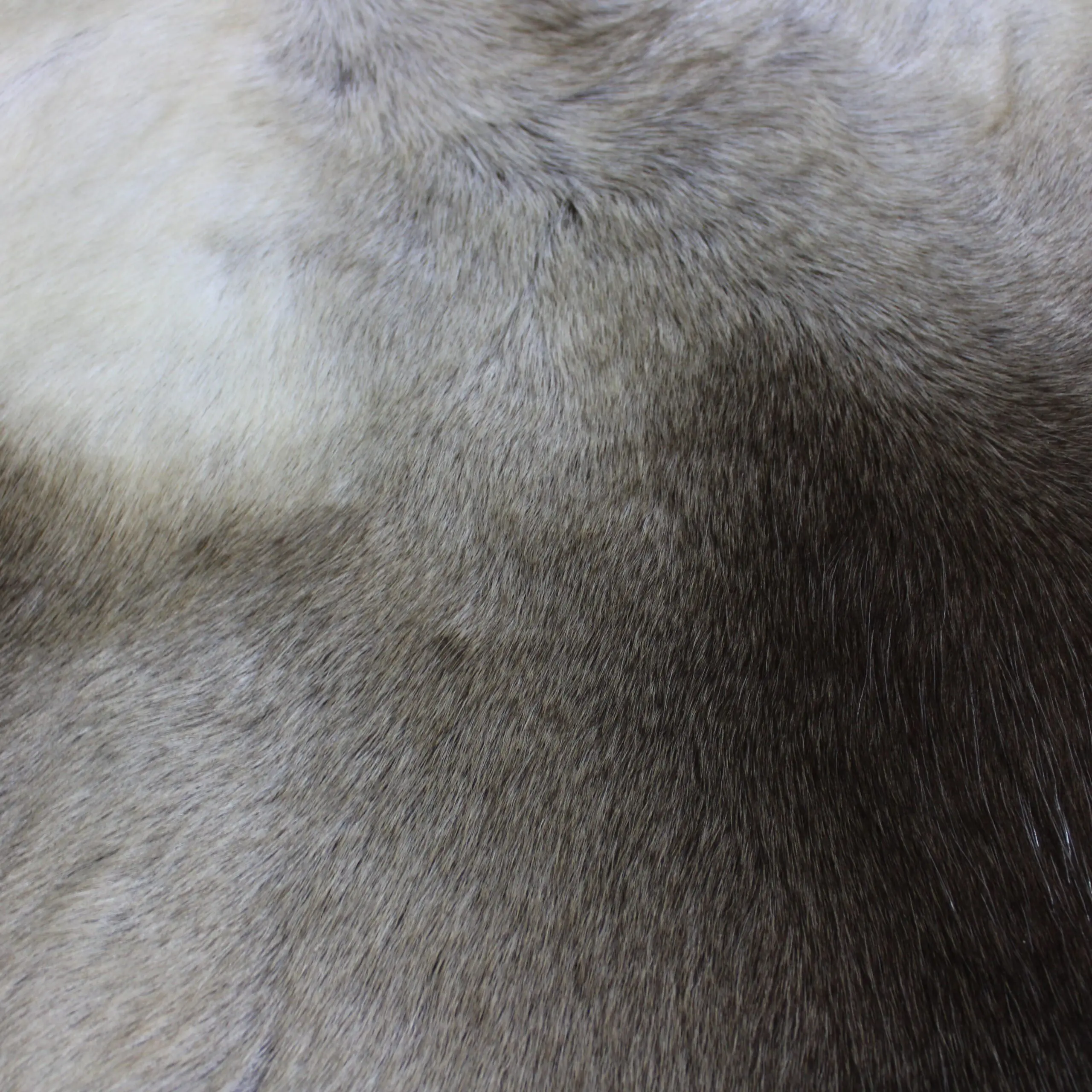 Reindeer Hide Rug R1279