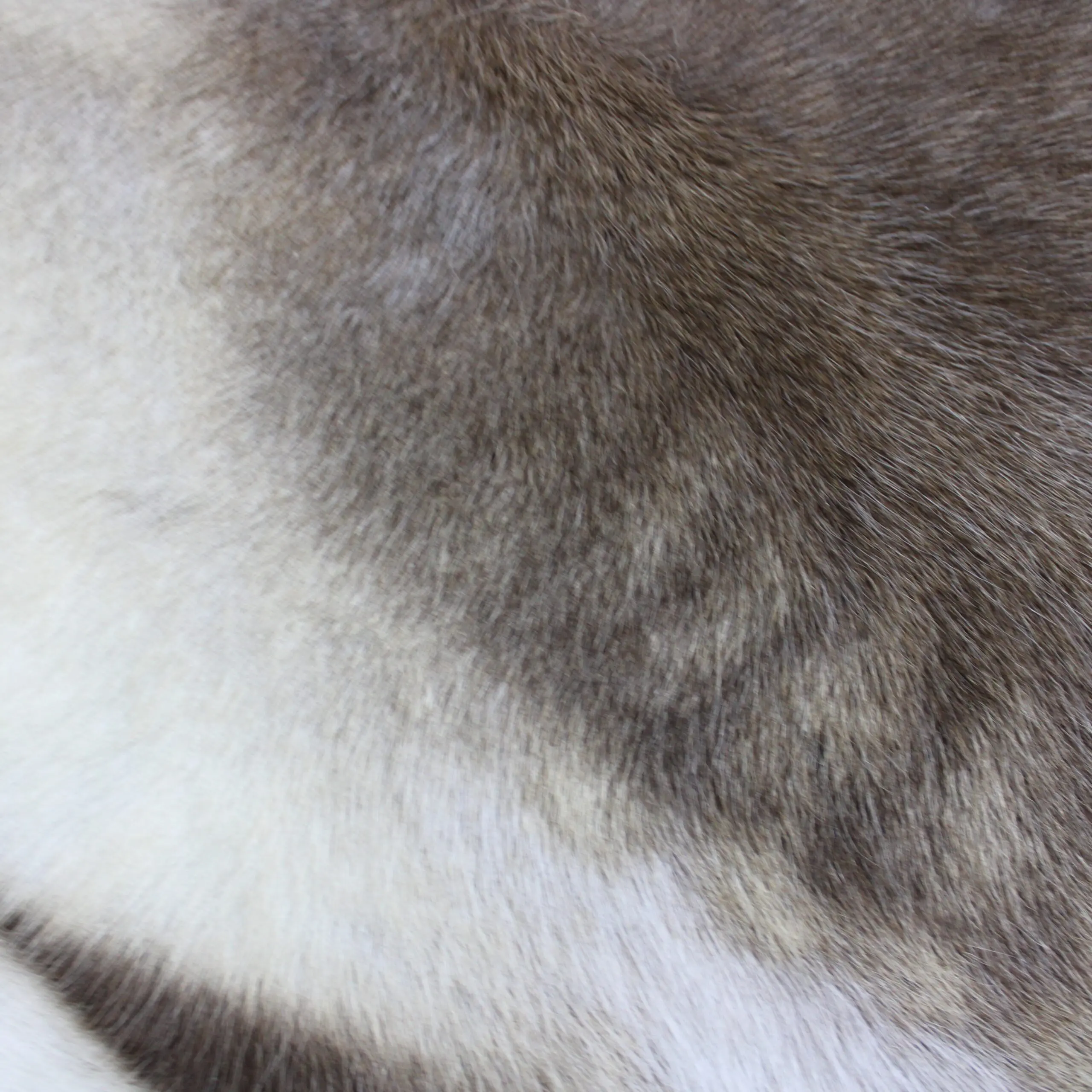 Large Reindeer Hide Rug R1280