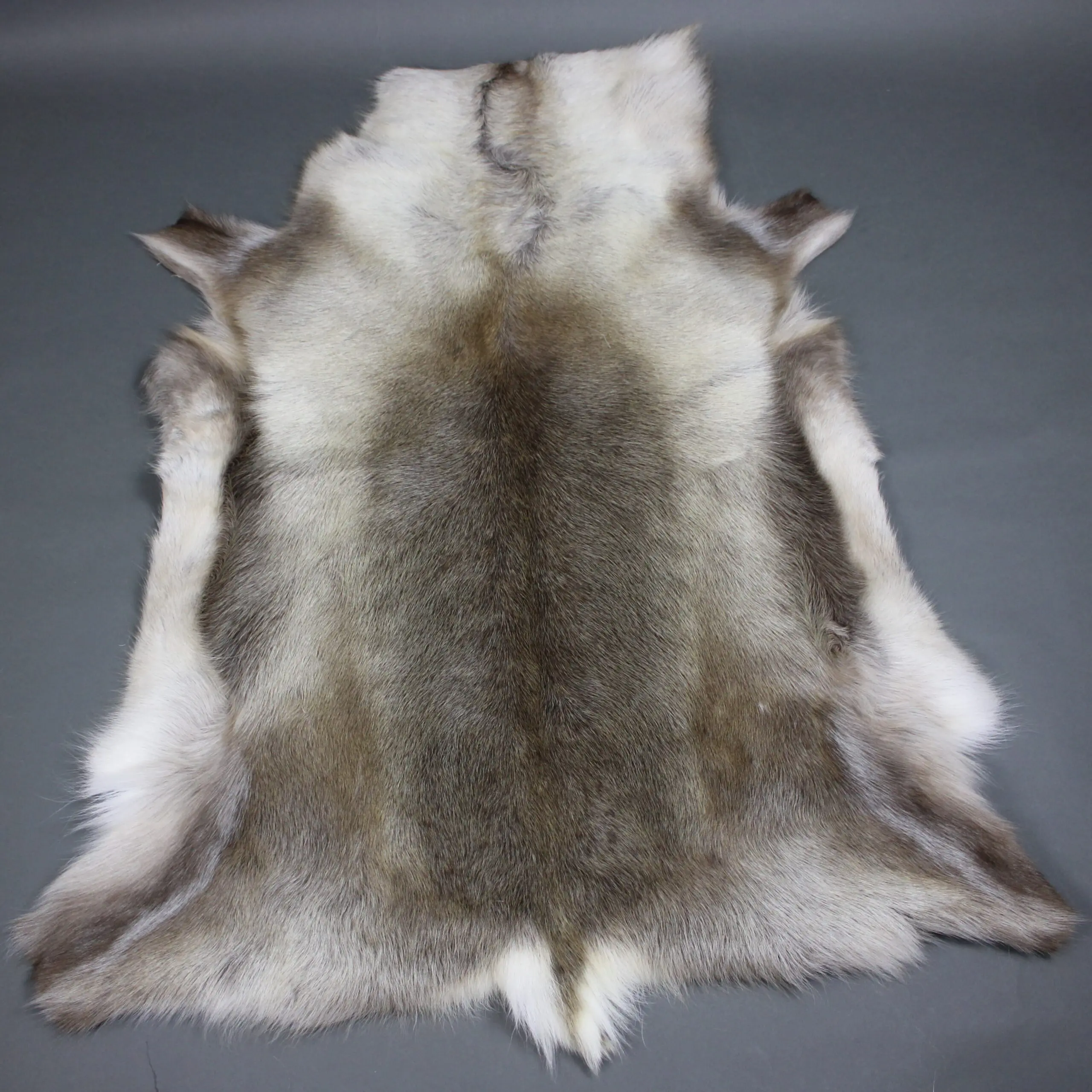 Large Reindeer Hide Rug R1281