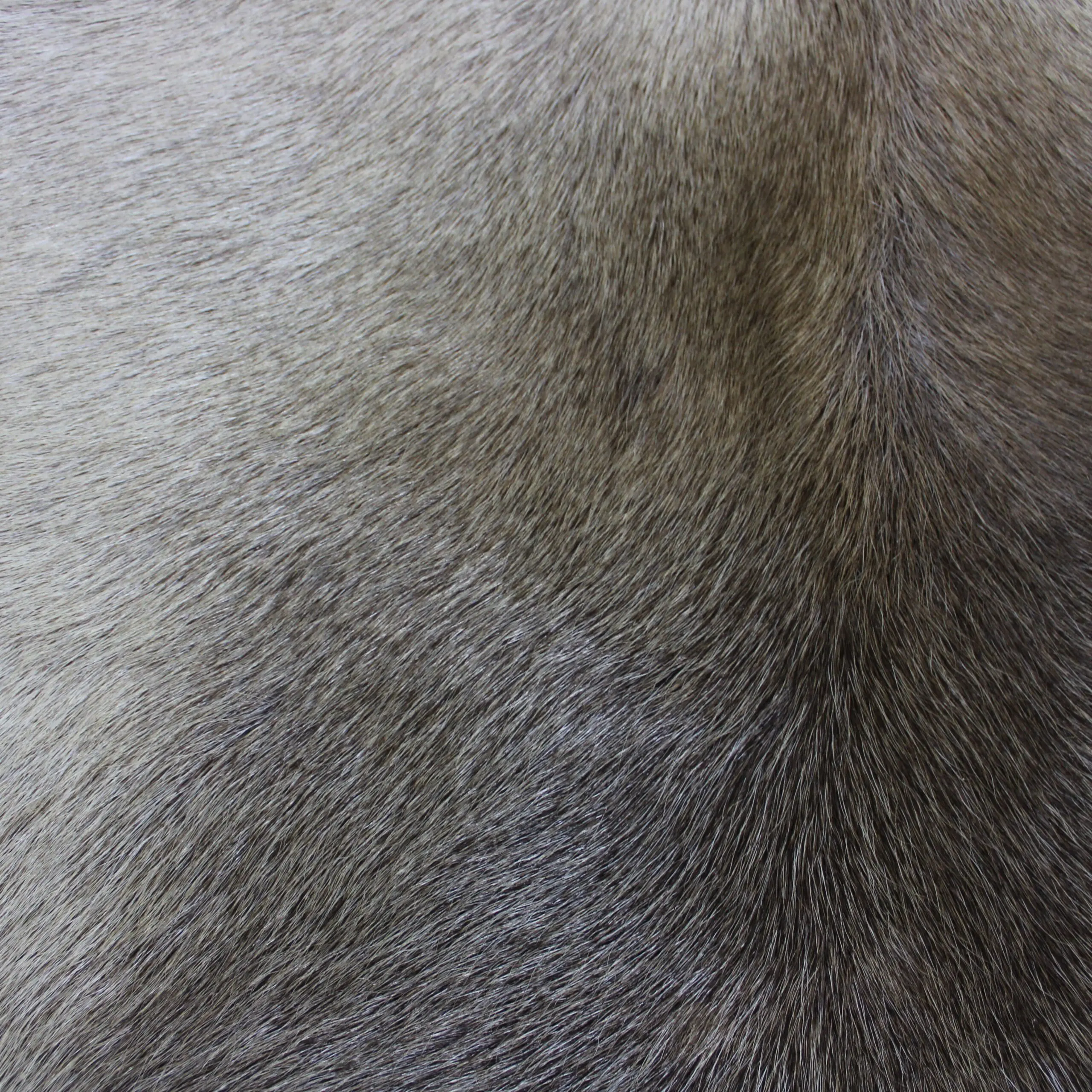 Large Reindeer Hide Rug R1281