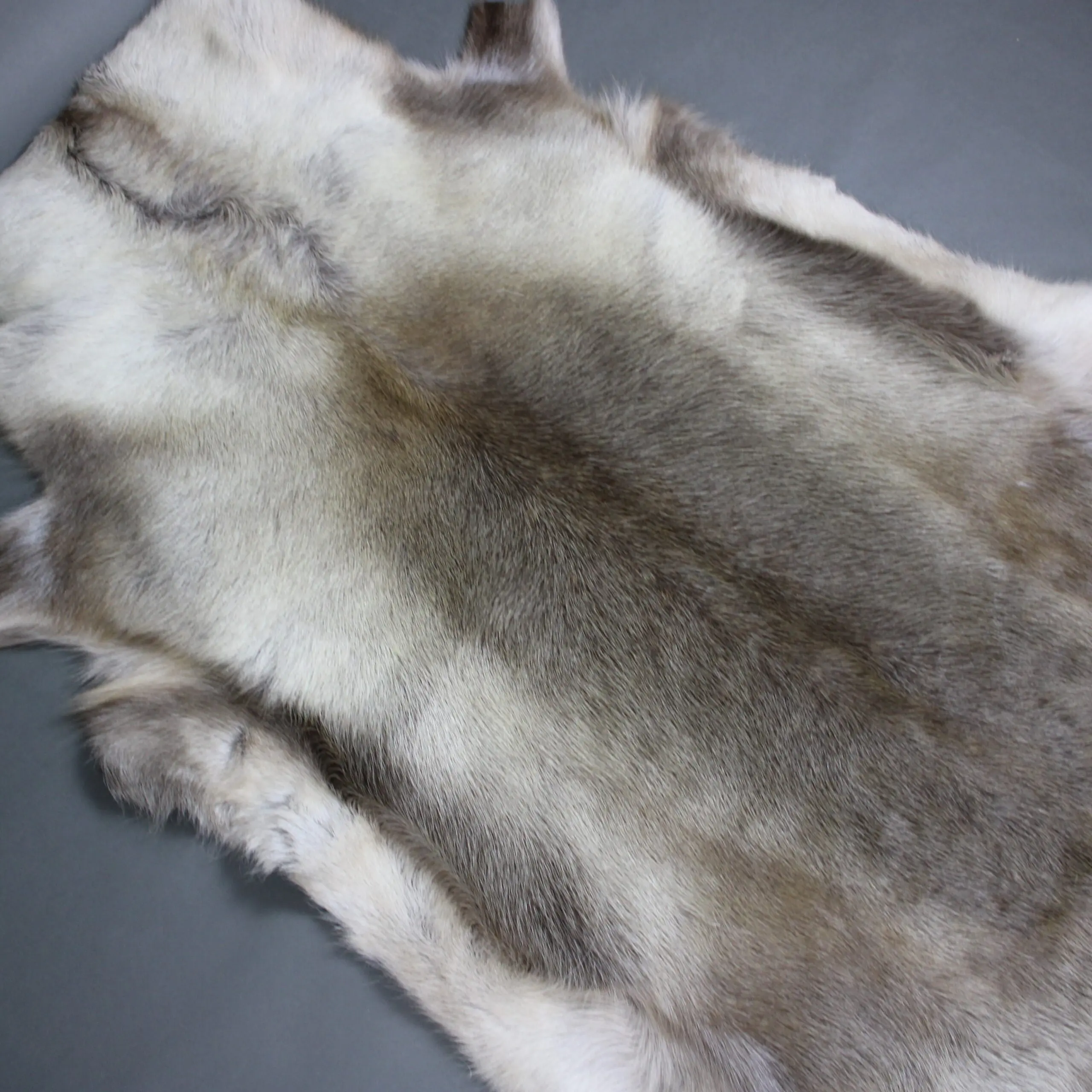 Large Reindeer Hide Rug R1281
