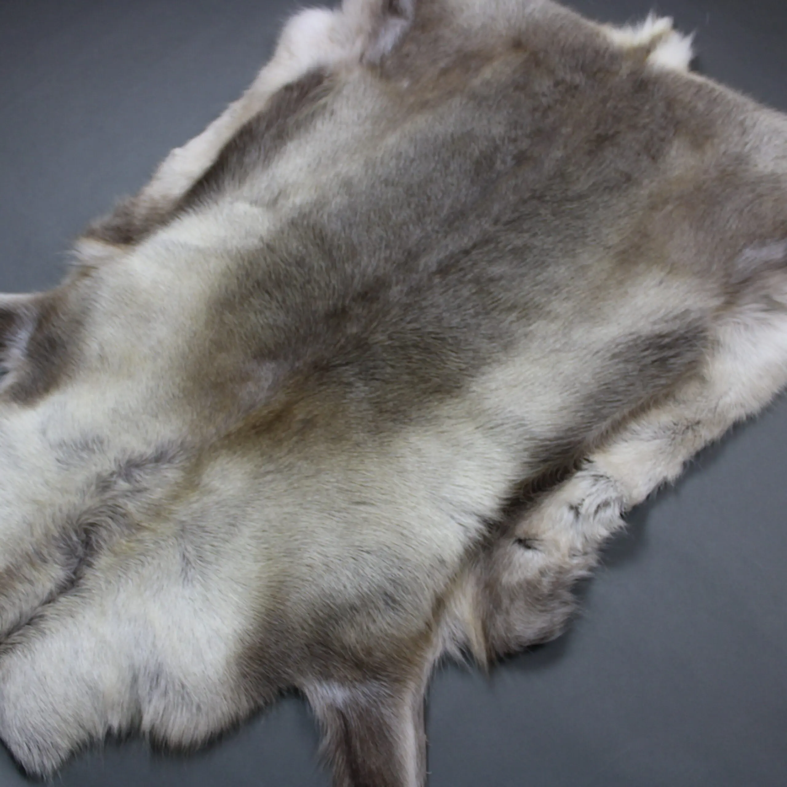 Large Reindeer Hide Rug R1281