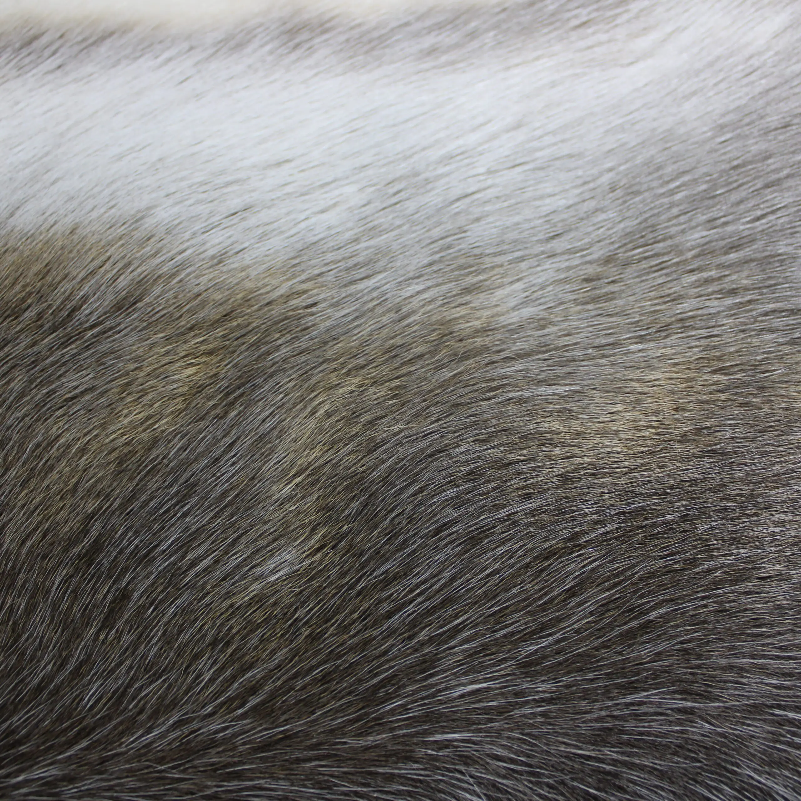 Large Reindeer Hide Rug R1283