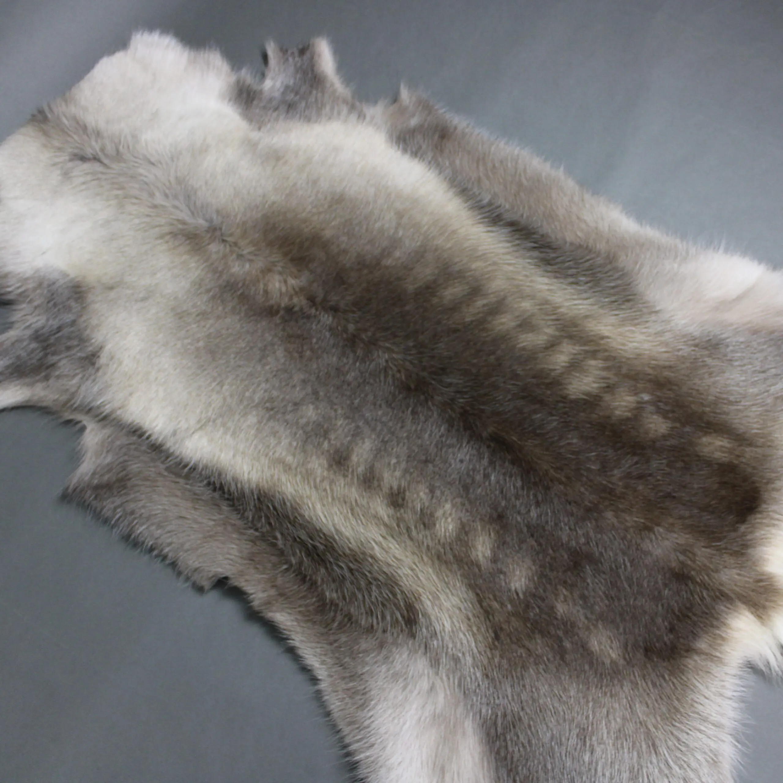 Reindeer Hide Rug R1285
