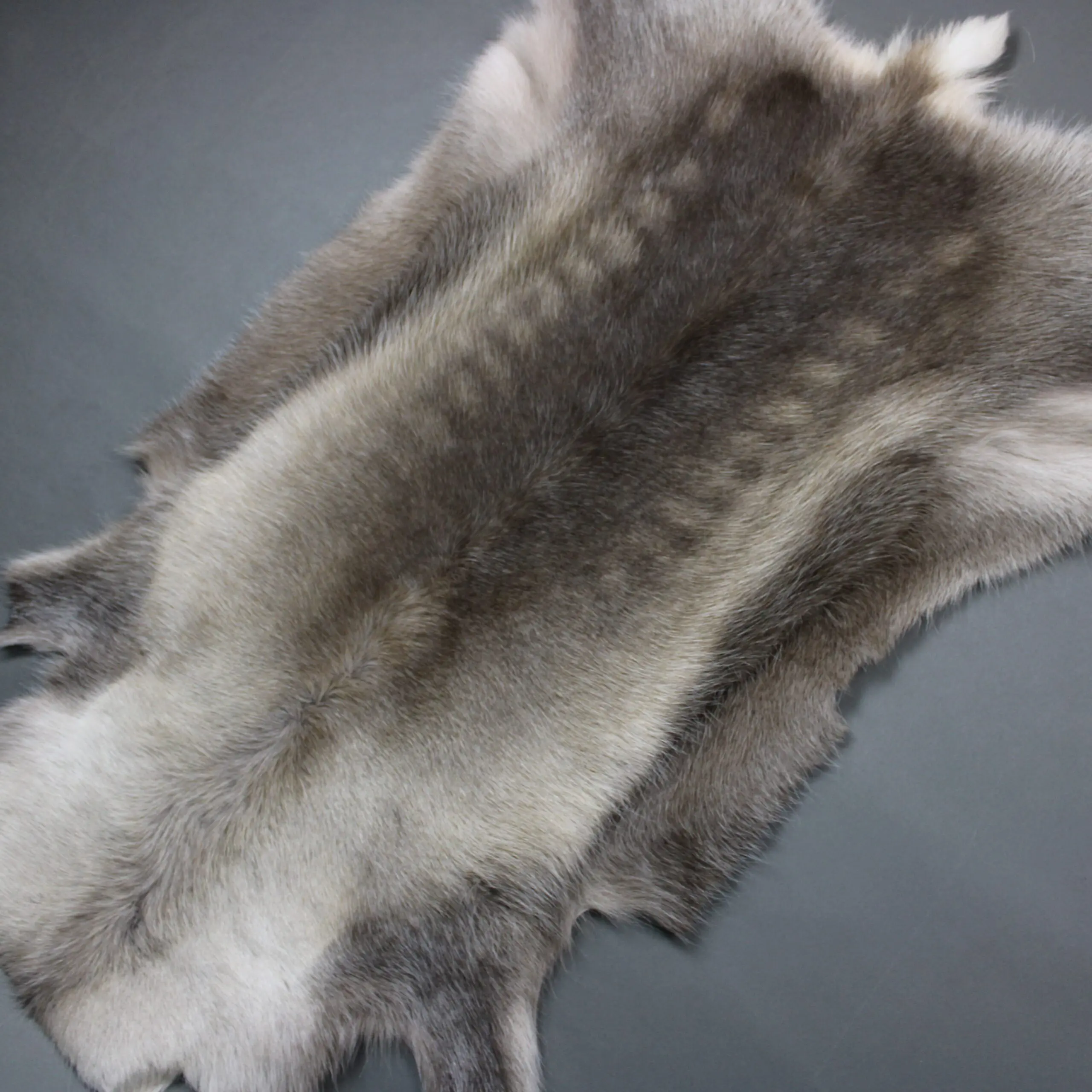Reindeer Hide Rug R1285