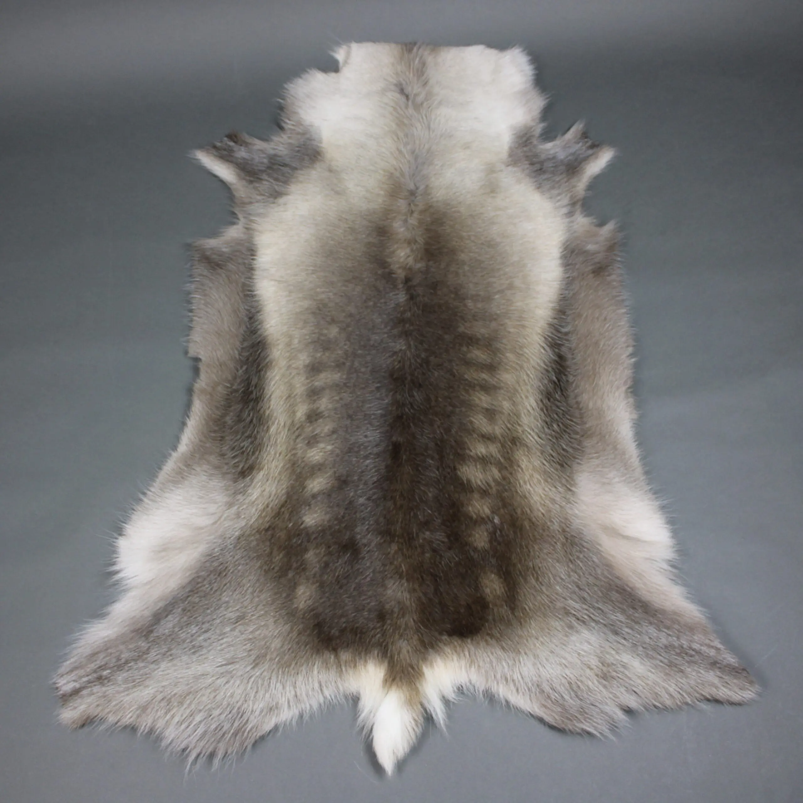 Reindeer Hide Rug R1285