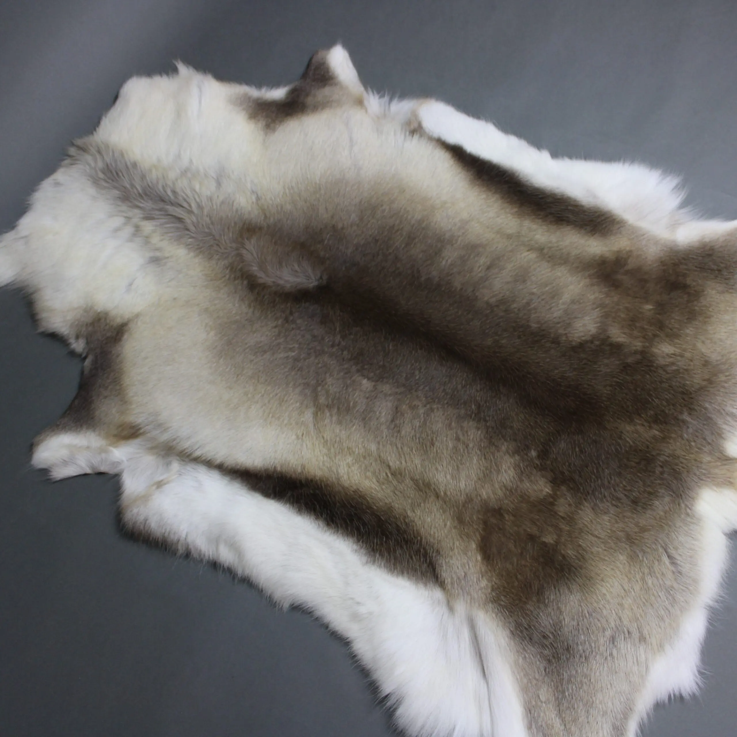 Reindeer Hide Rug R1288