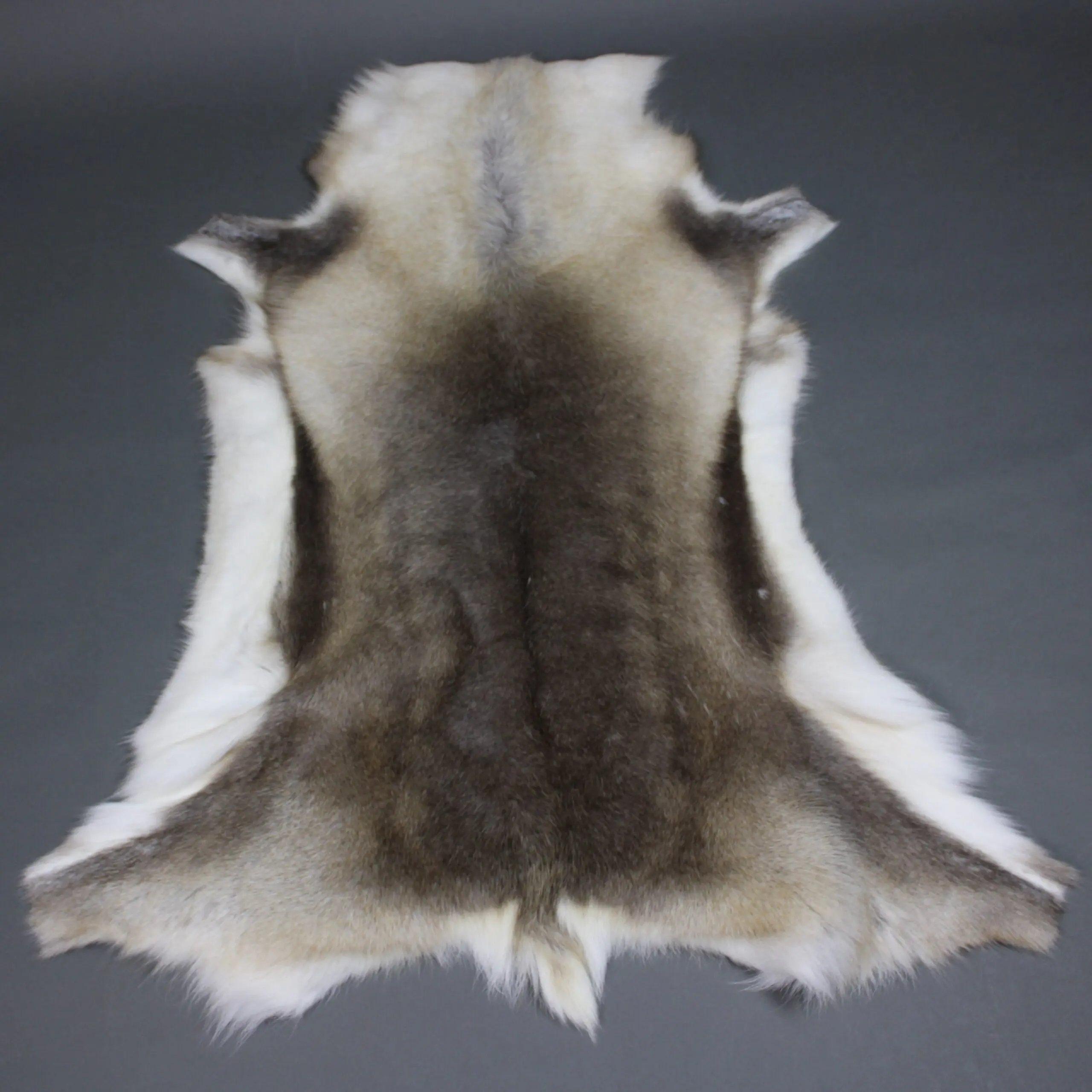 Reindeer Hide Rug R1292