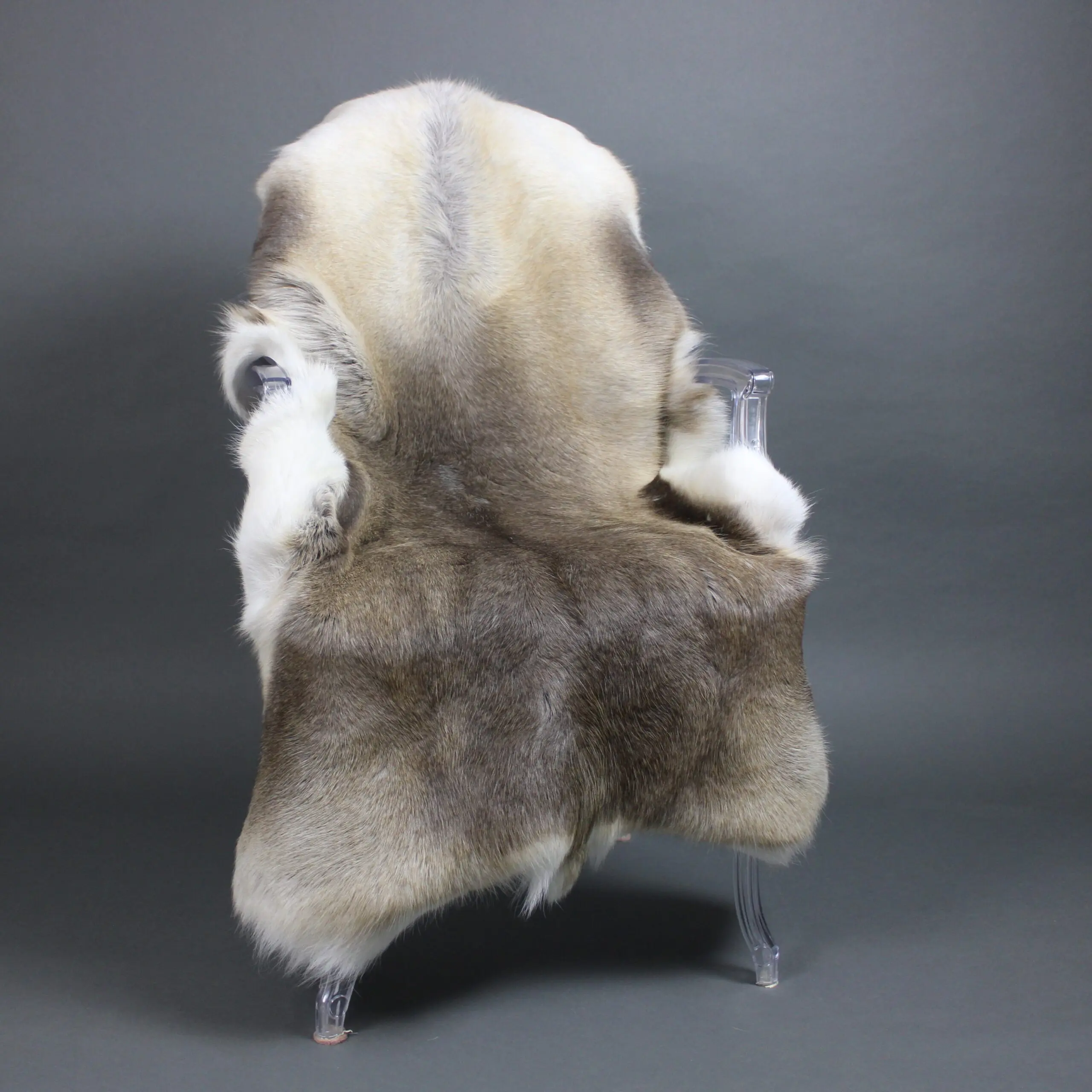 Reindeer Hide Rug R1292