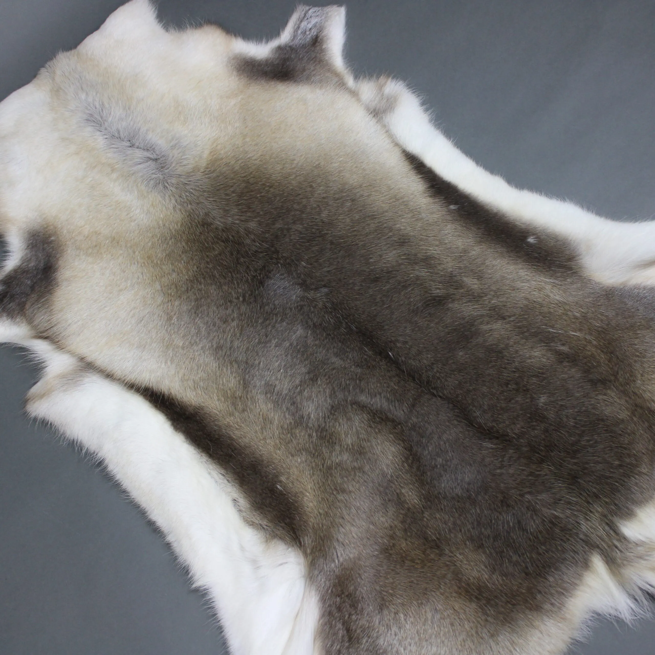 Reindeer Hide Rug R1292
