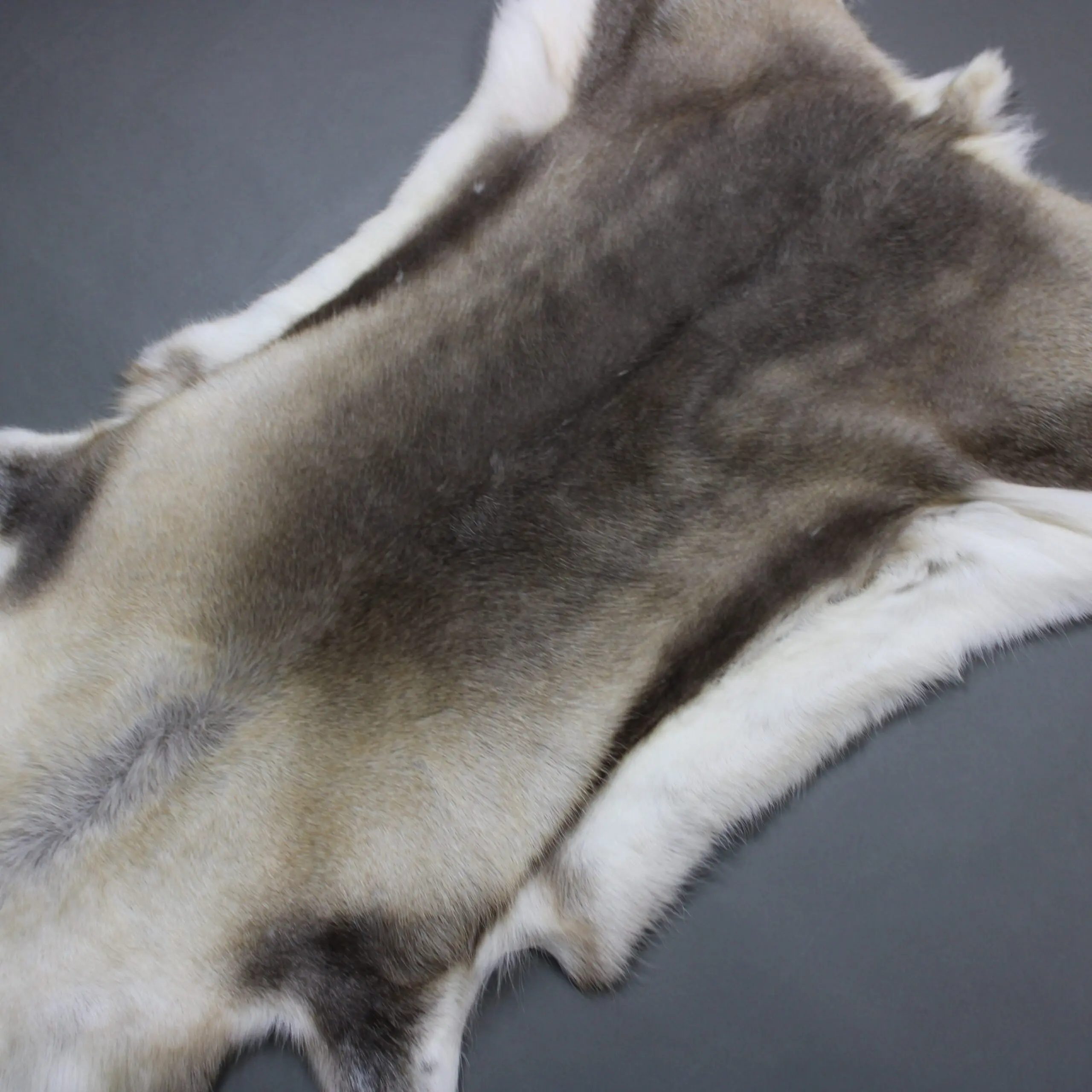 Reindeer Hide Rug R1292