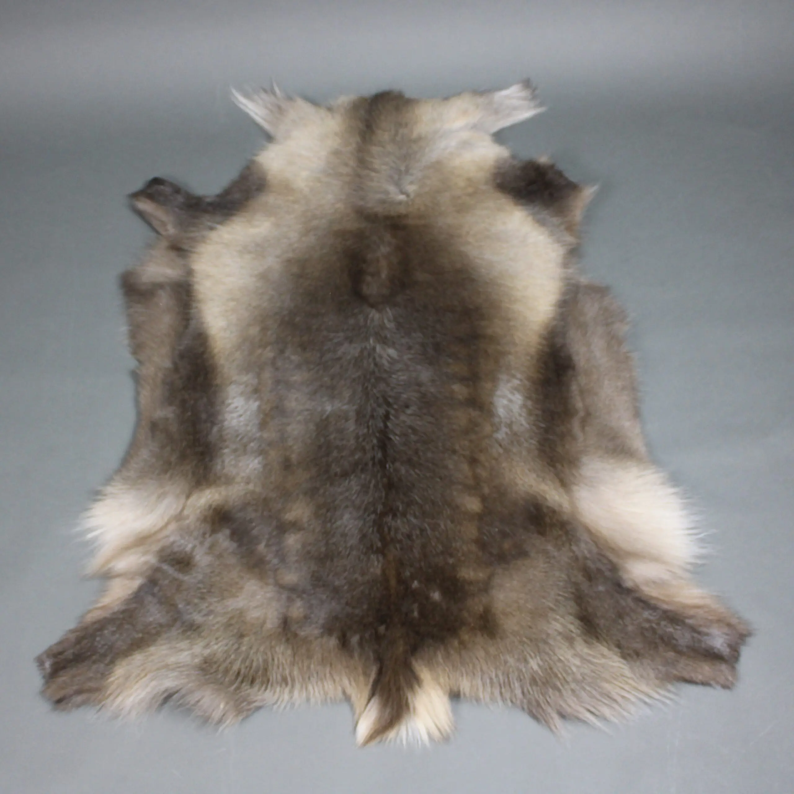 Reindeer Hide Rug R1293