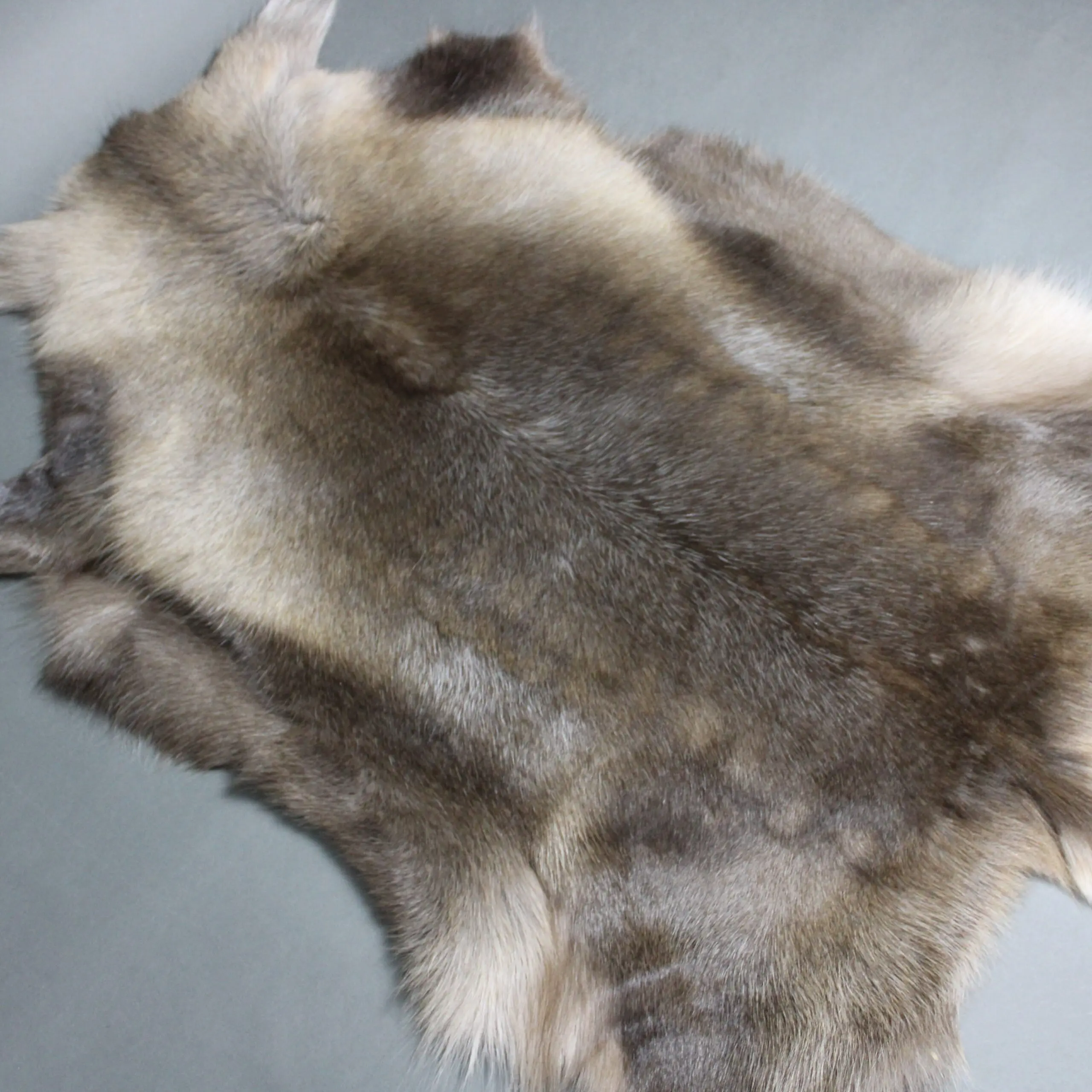 Reindeer Hide Rug R1293