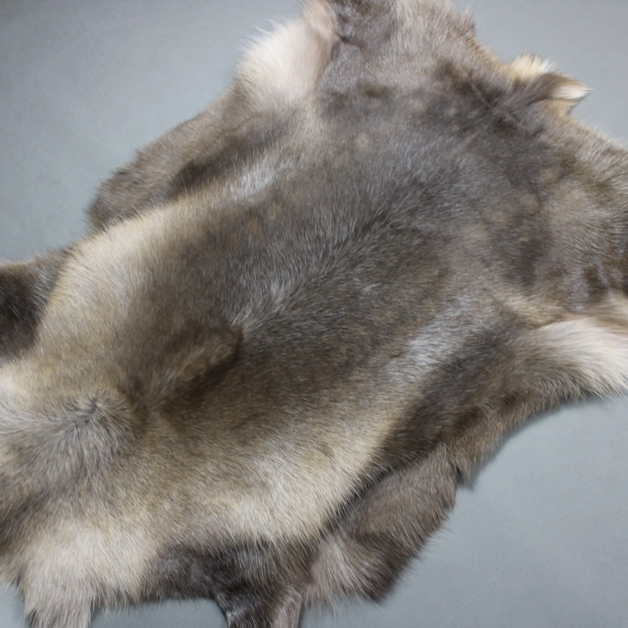 Reindeer Hide Rug R1293