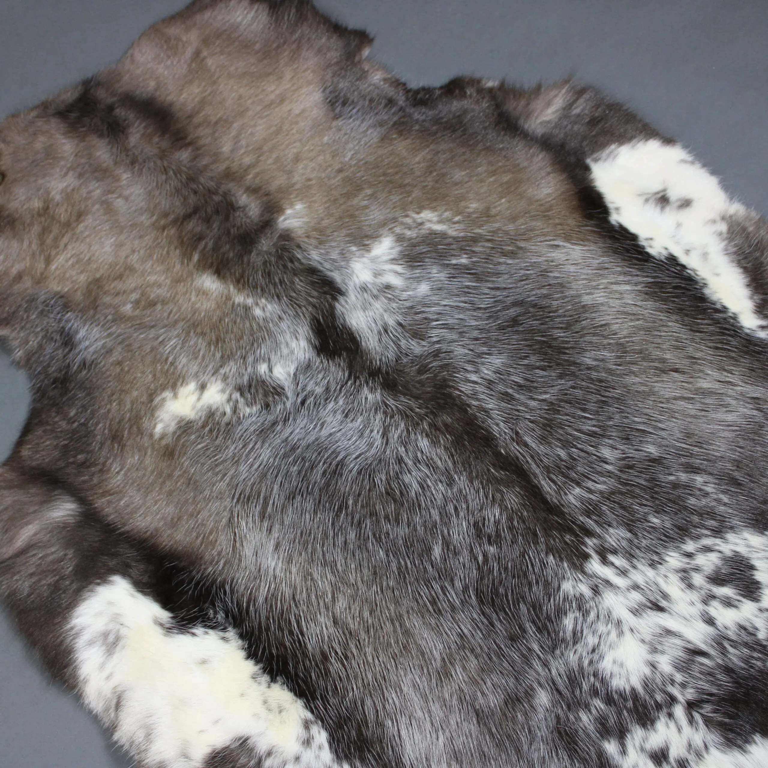 Siberian Reindeer Hide SR262