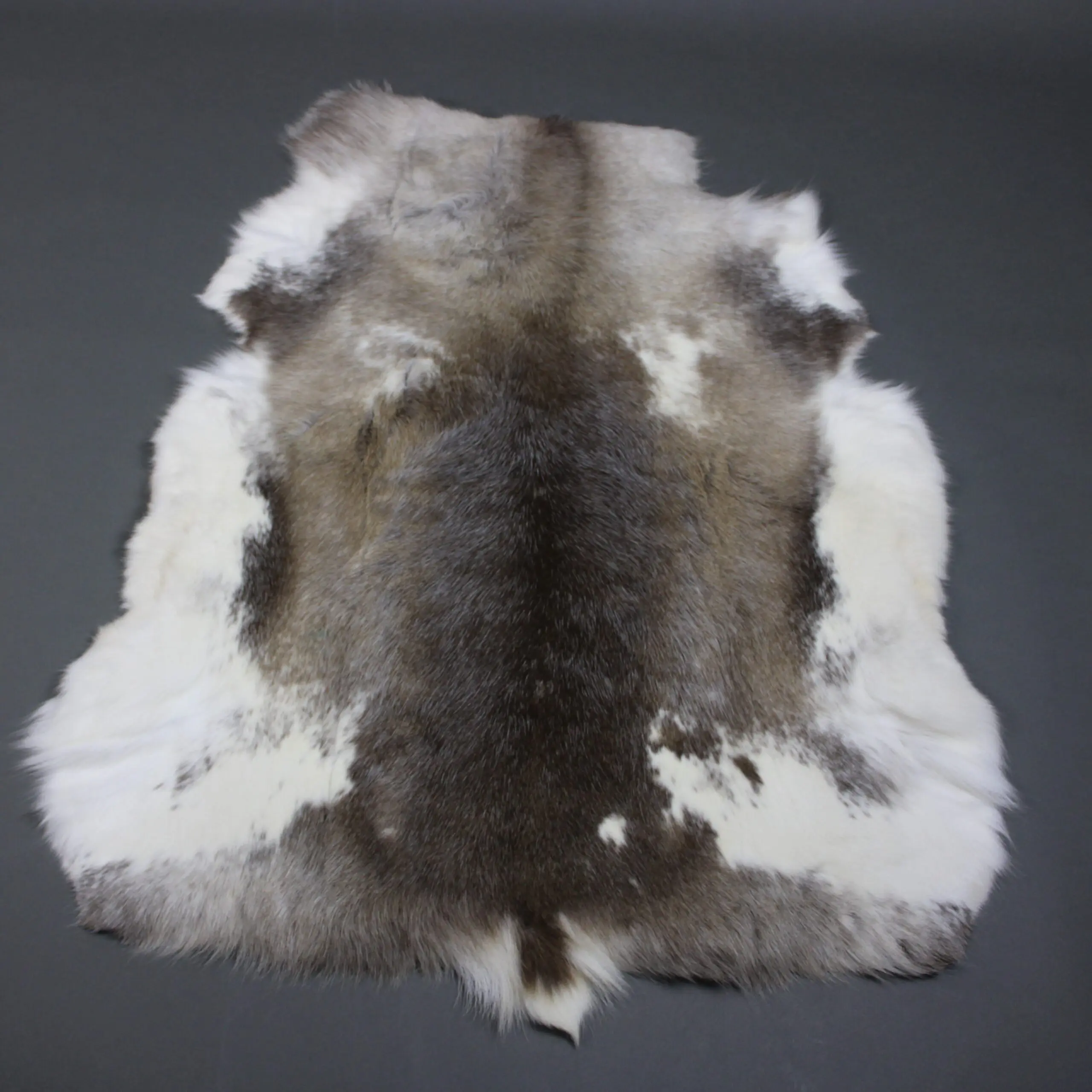 Siberian Reindeer Hide SR263