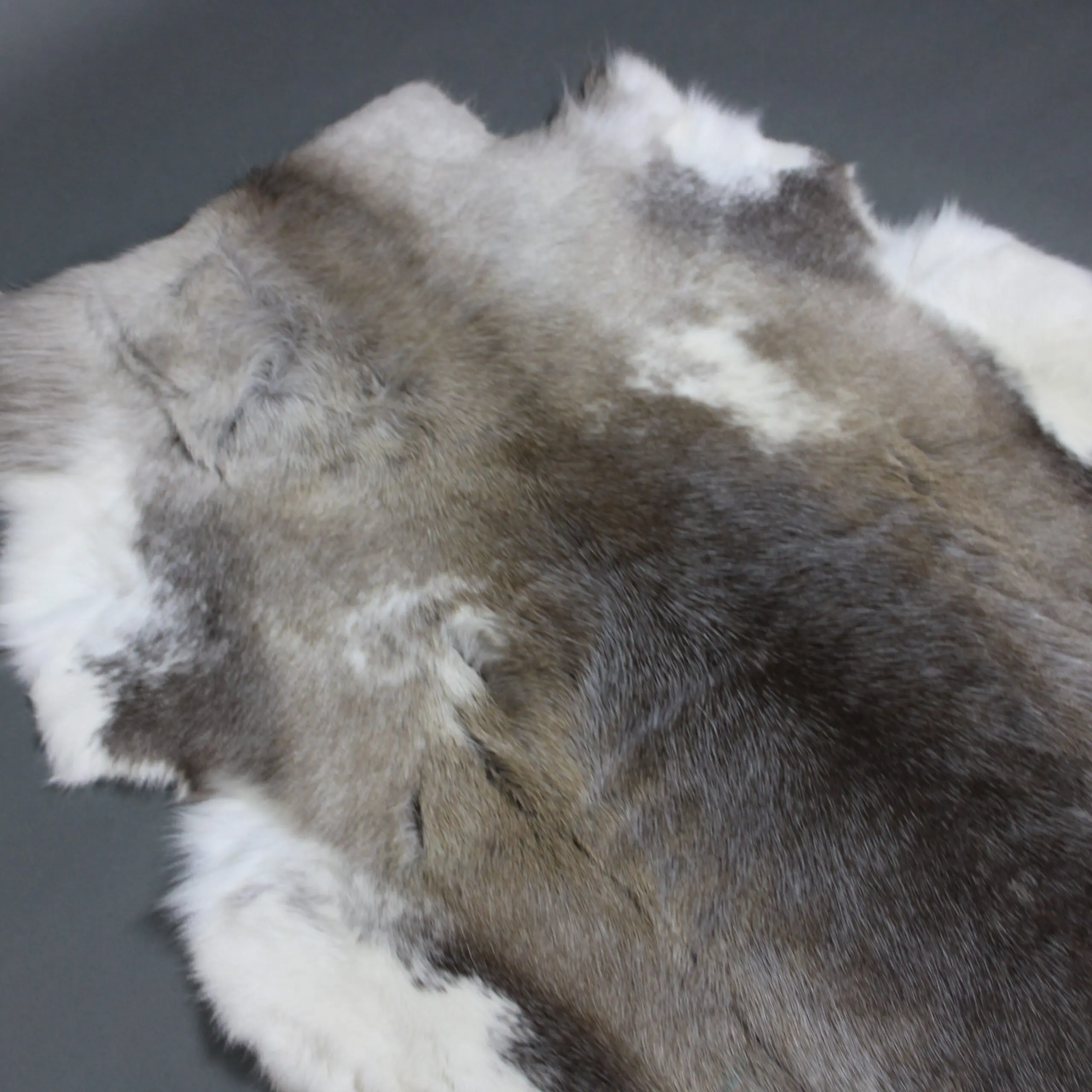 Siberian Reindeer Hide SR263