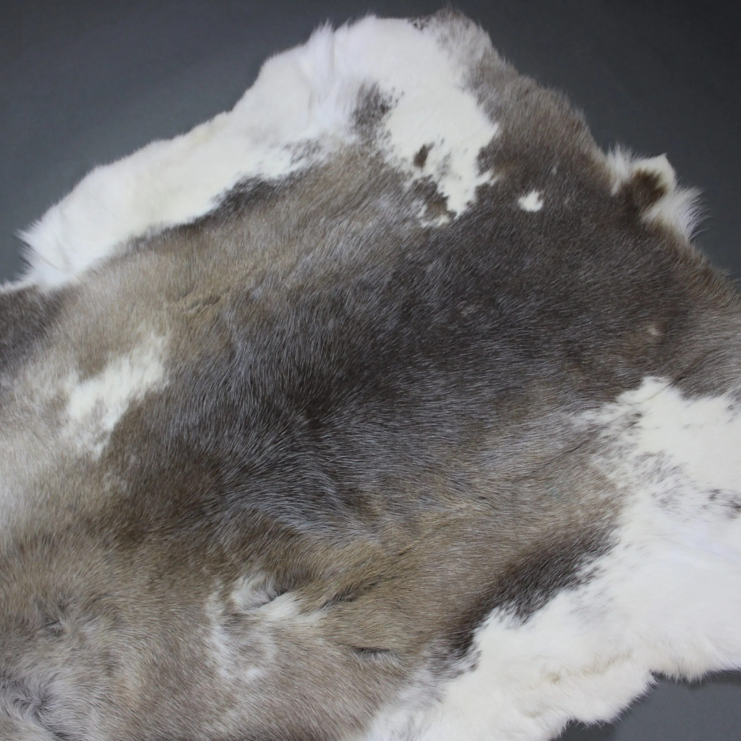 Siberian Reindeer Hide SR263