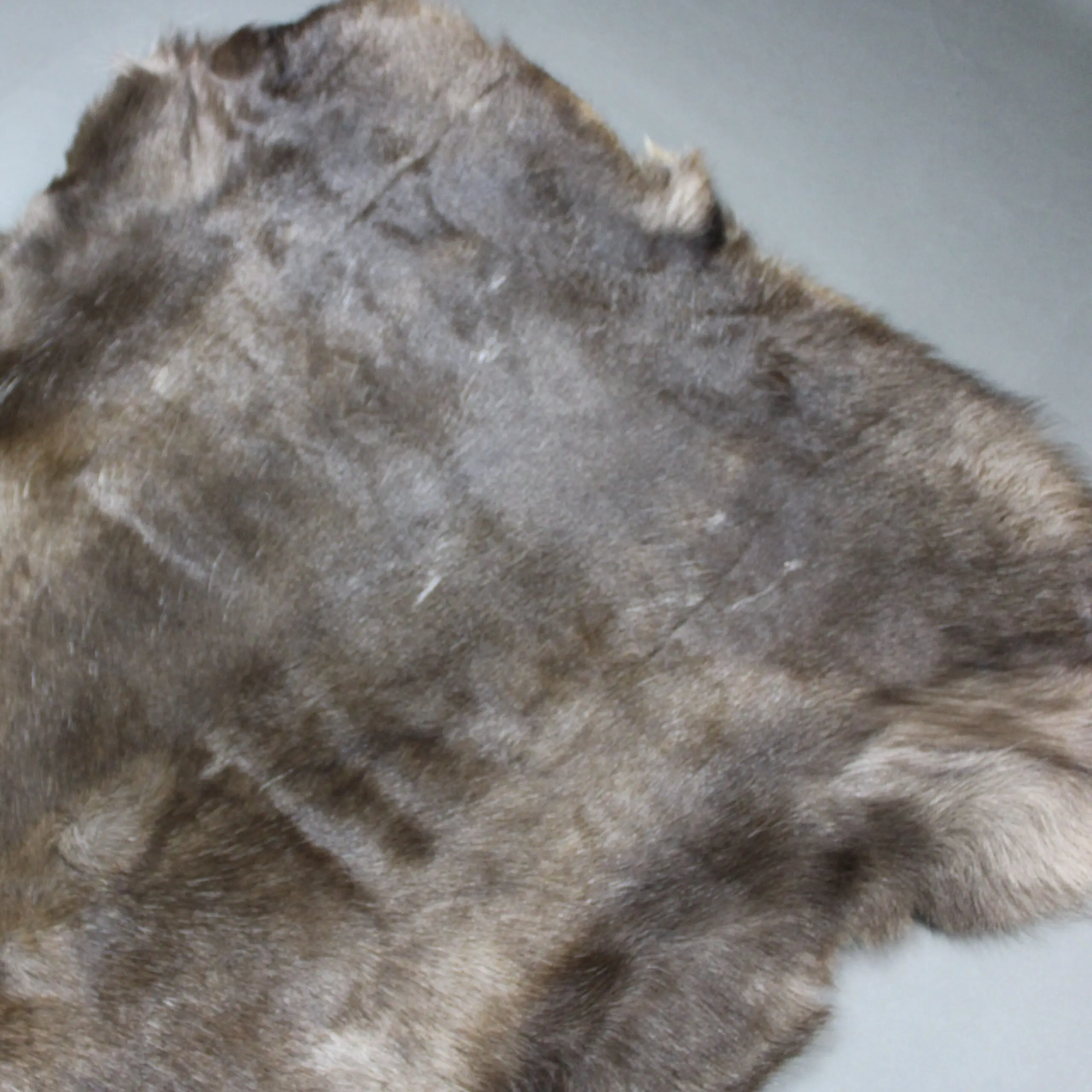 Siberian Reindeer Hide SR265
