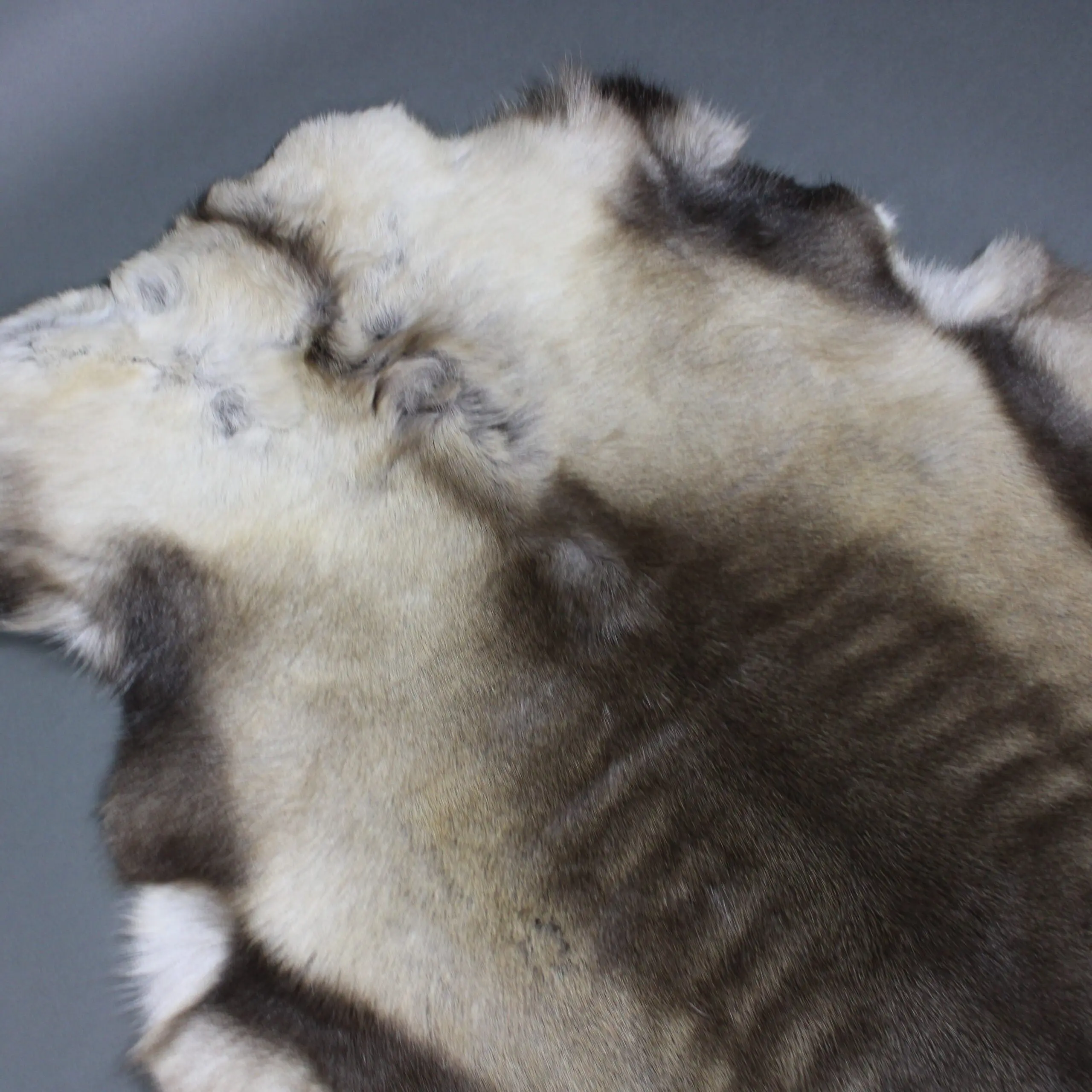 Siberian Reindeer Hide SR266