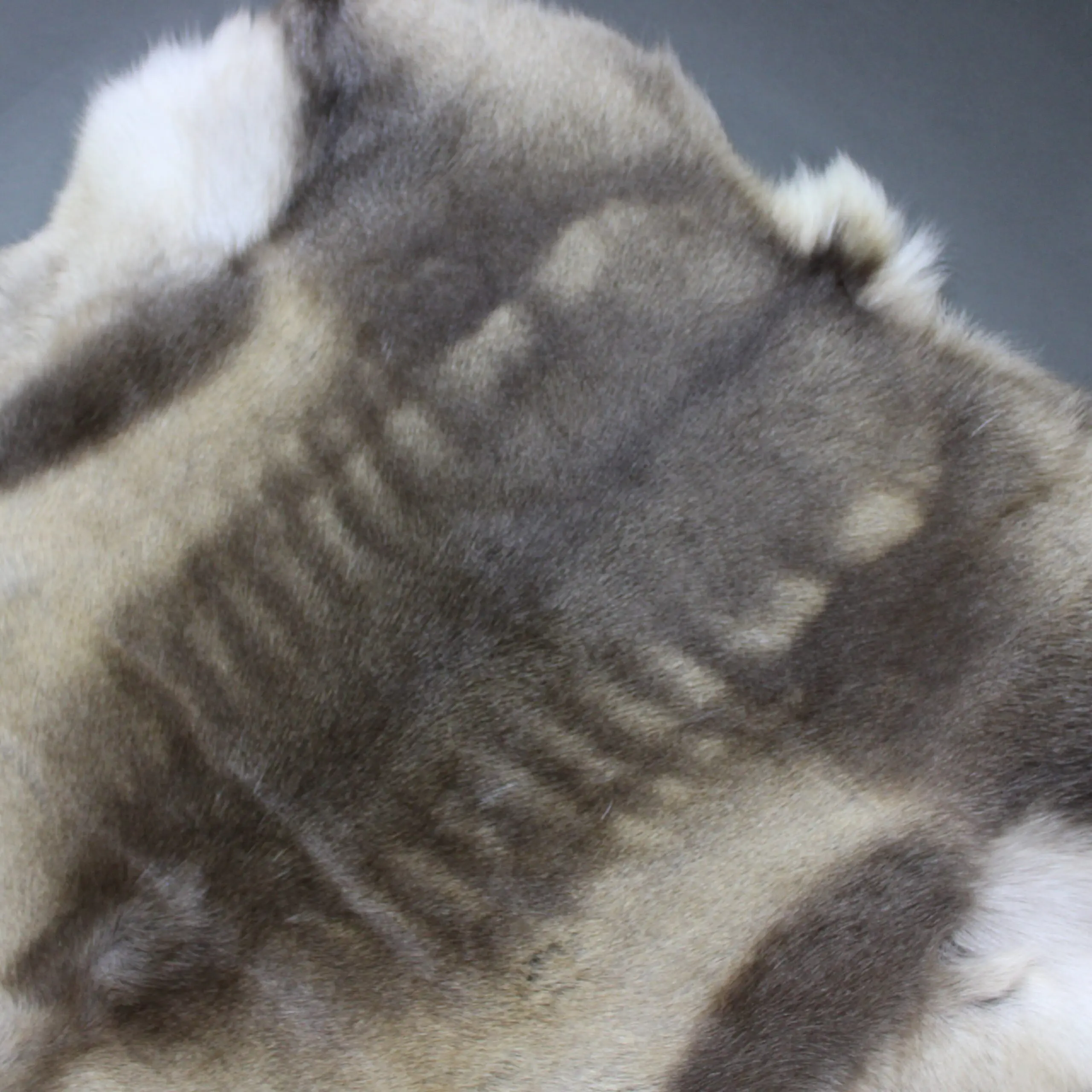 Siberian Reindeer Hide SR266